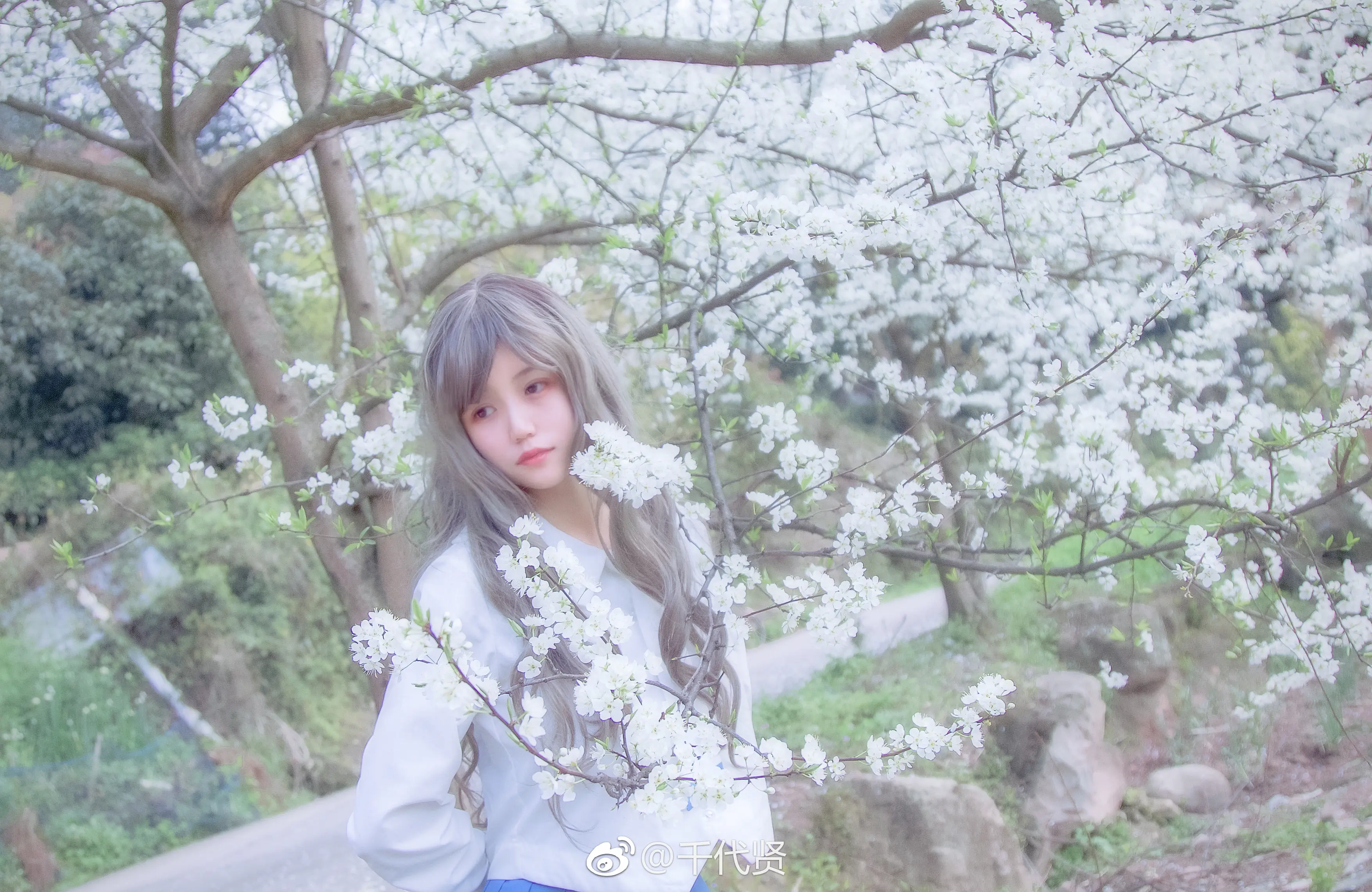 小仓千代w 微博图 其它 [232P]