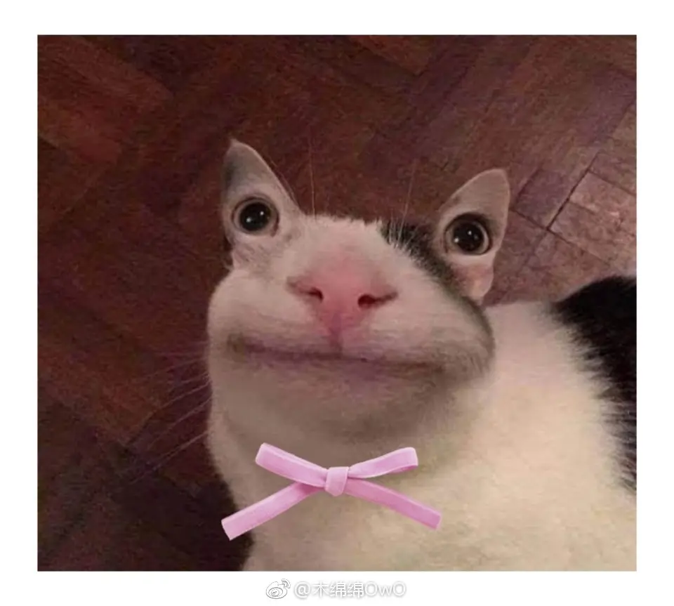 木绵绵 微博05 [50P]