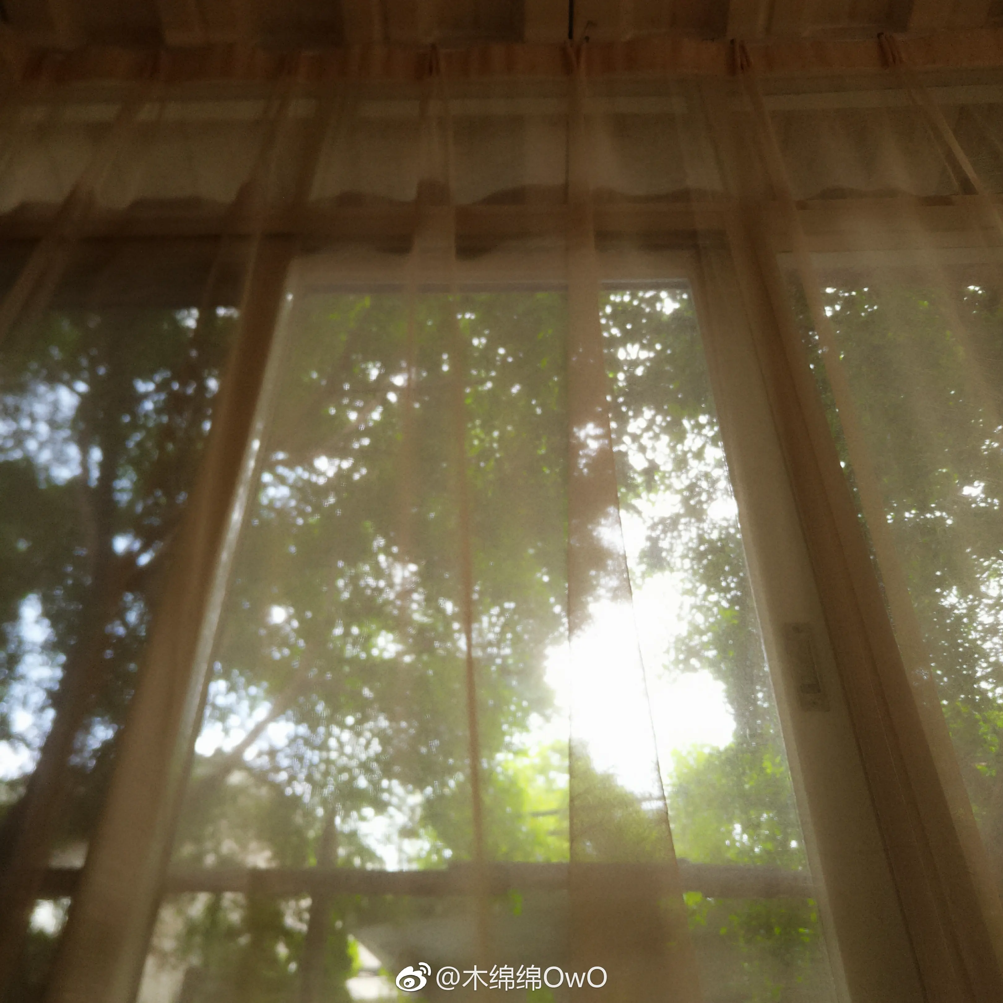 木绵绵 微博06 [50P]