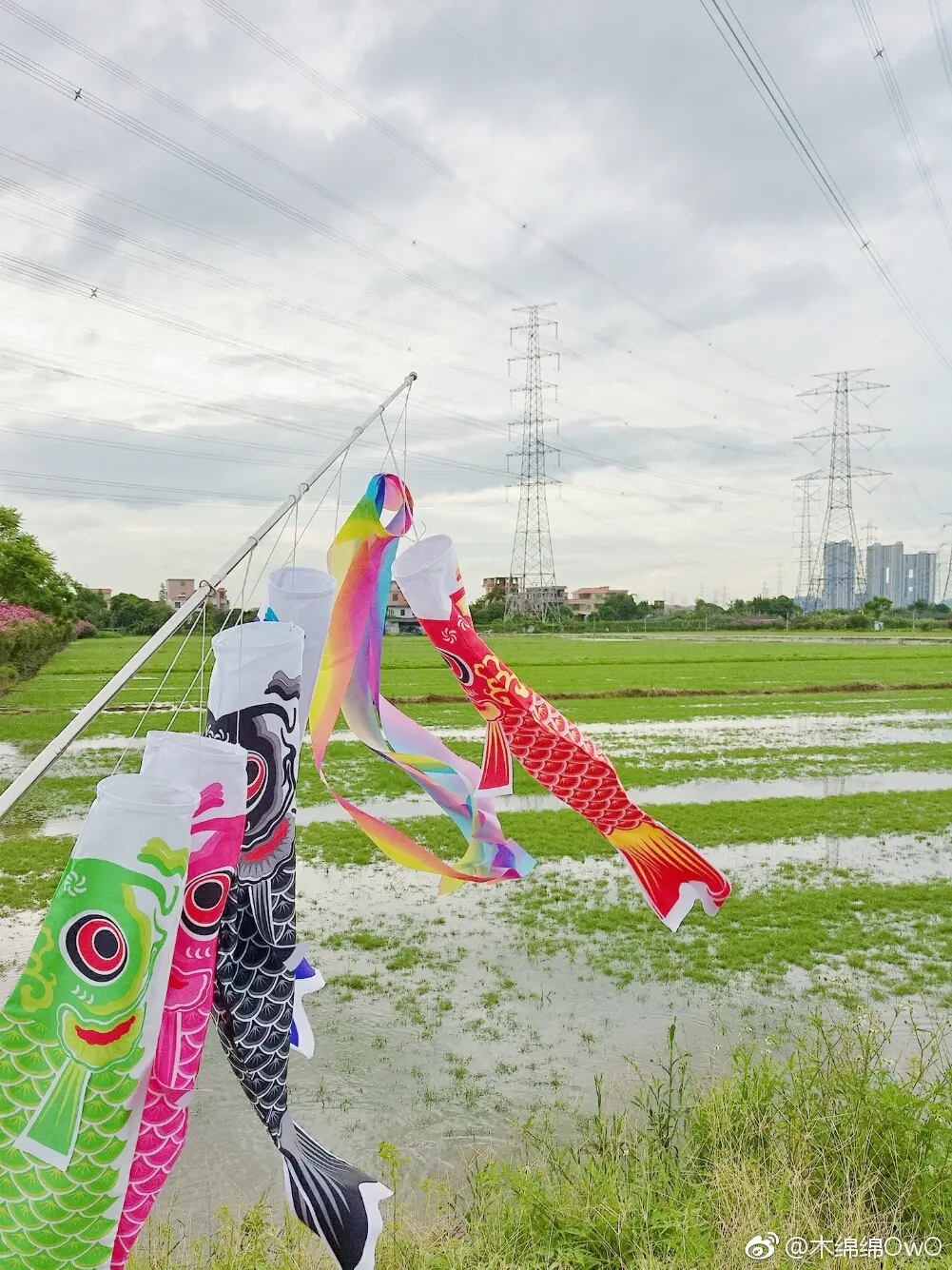 木绵绵 微博27 [50P]