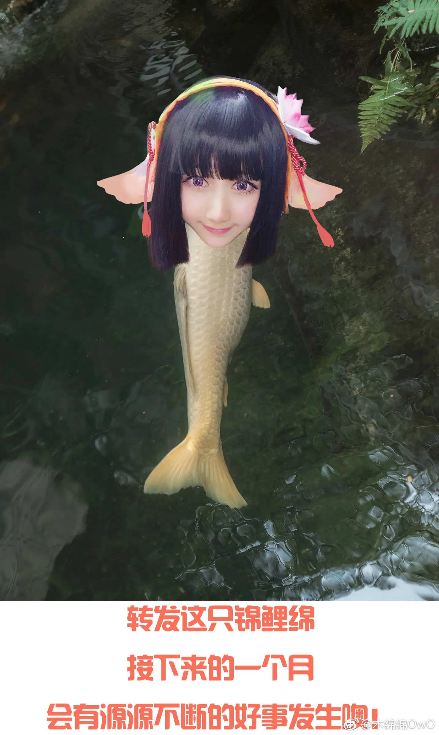 木绵绵 微博32 [50P]