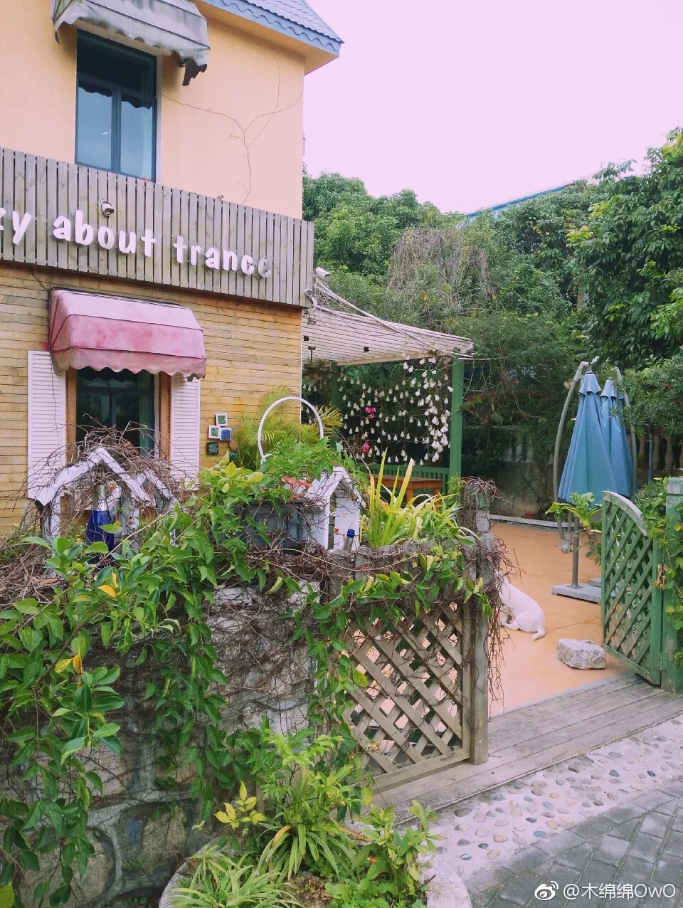 木绵绵 微博32 [50P]