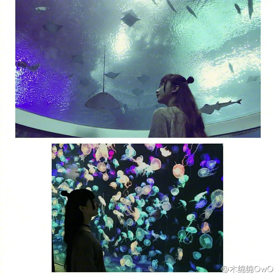 木绵绵 微博33 [50P]