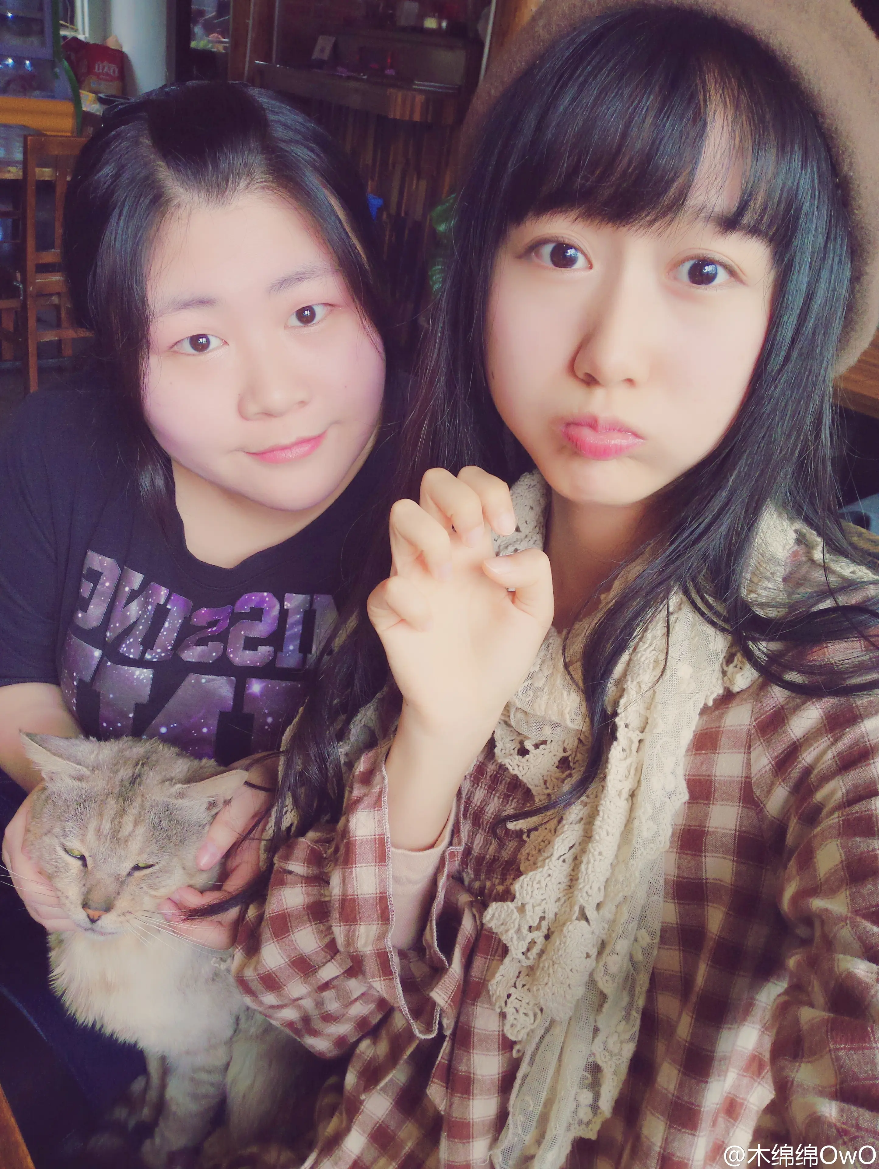 木绵绵 微博40 [50P]