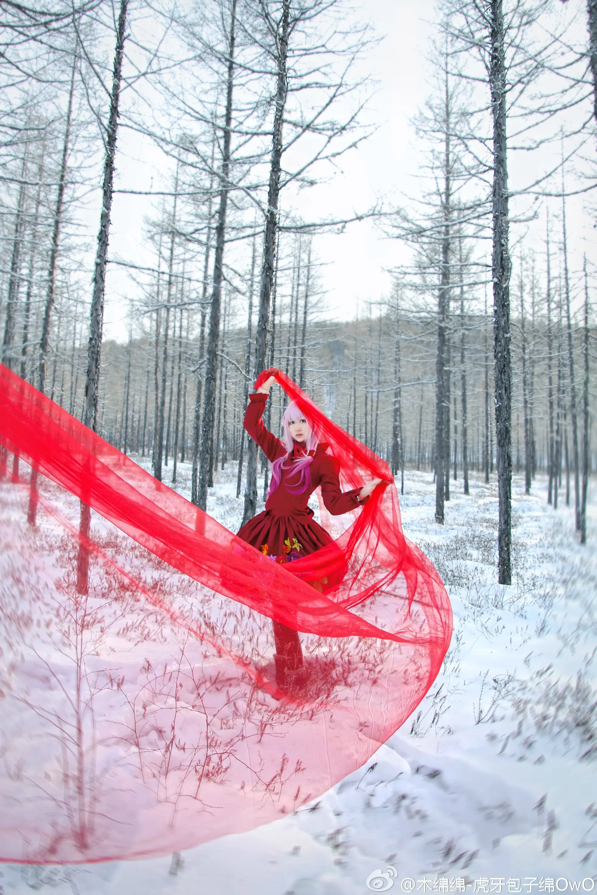 木绵绵 微博43 [50P]