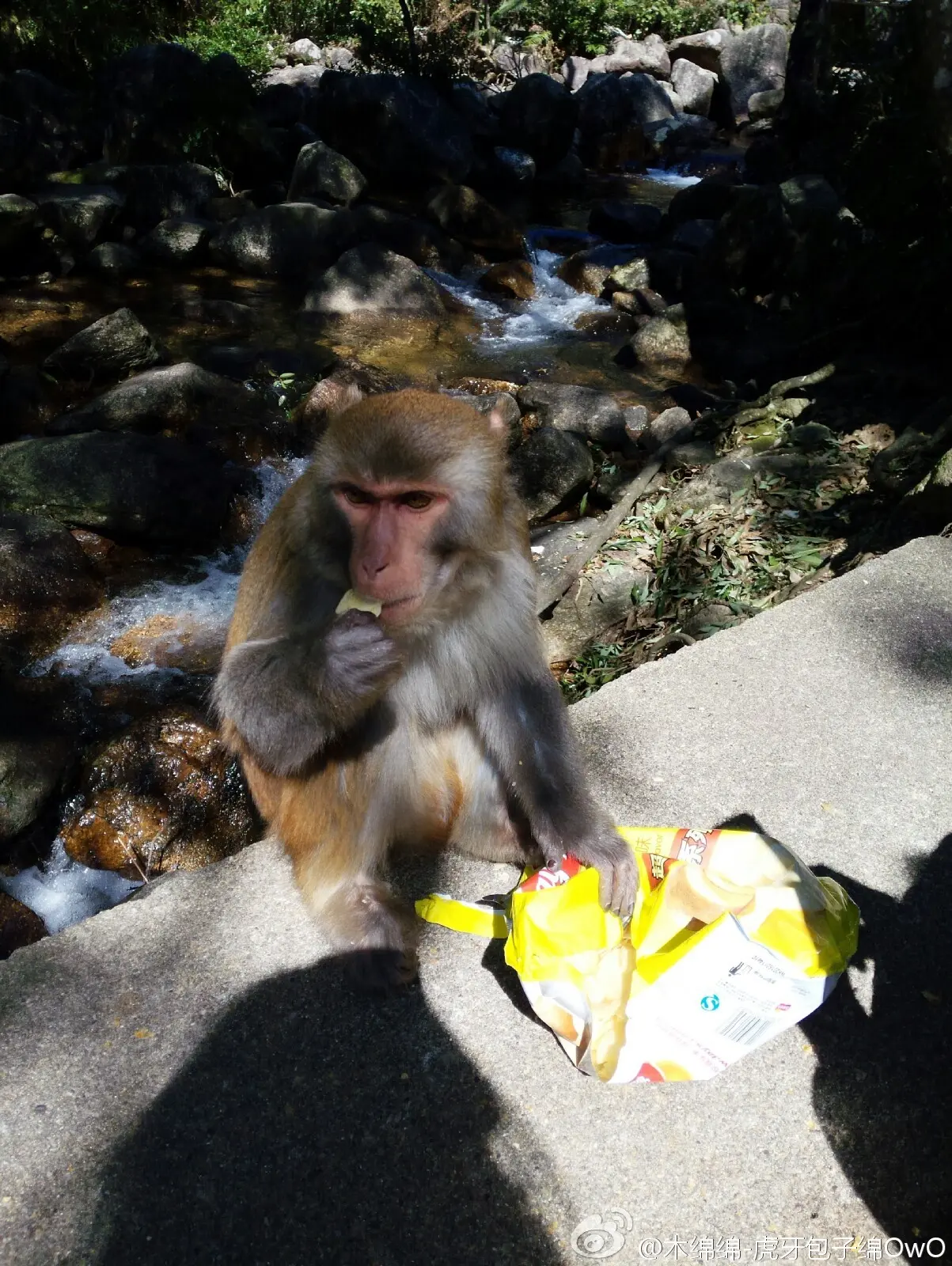 木绵绵 微博43 [50P]