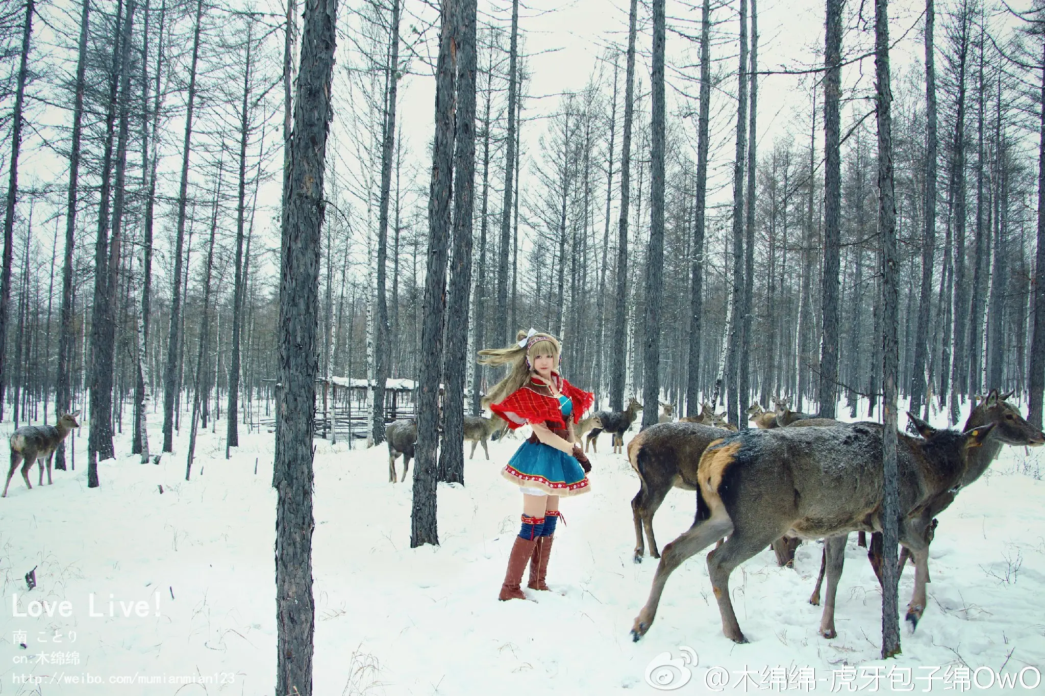 木绵绵 微博44 [50P]