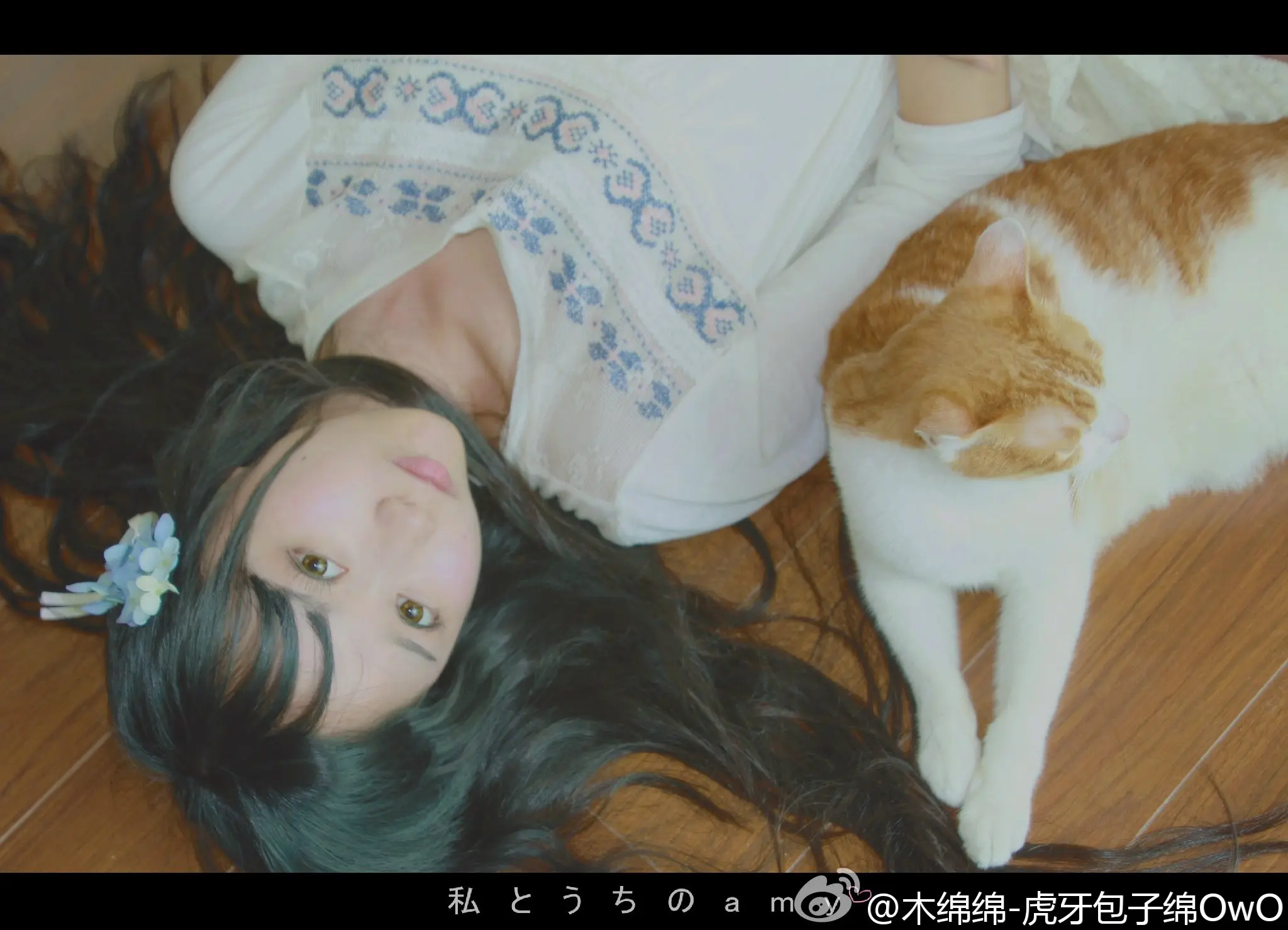 木绵绵 微博45 [50P]