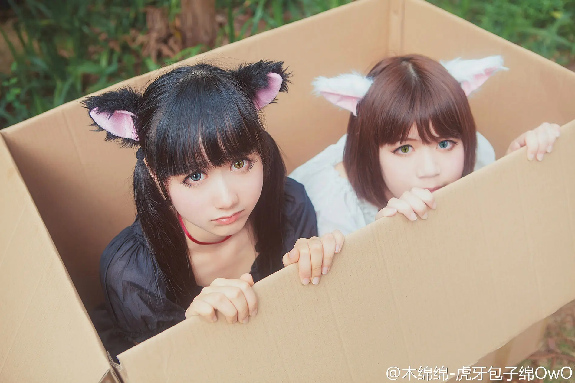 木绵绵 微博46 [50P]