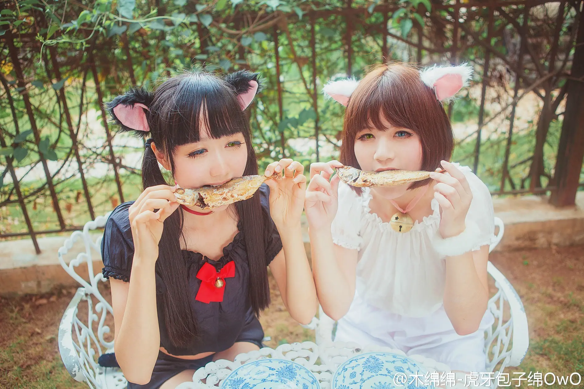 木绵绵 微博46 [50P]