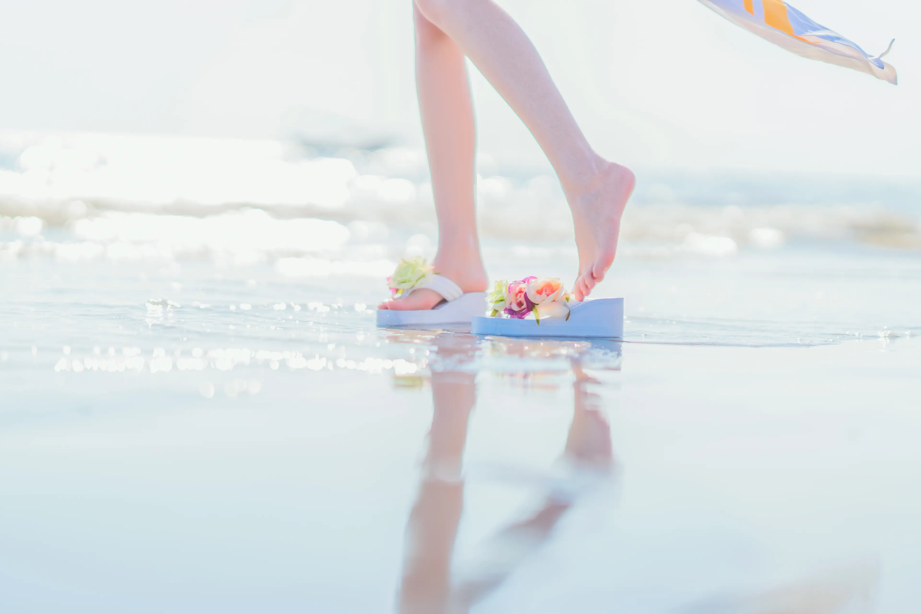 桜桃喵 公孙离 [40P]