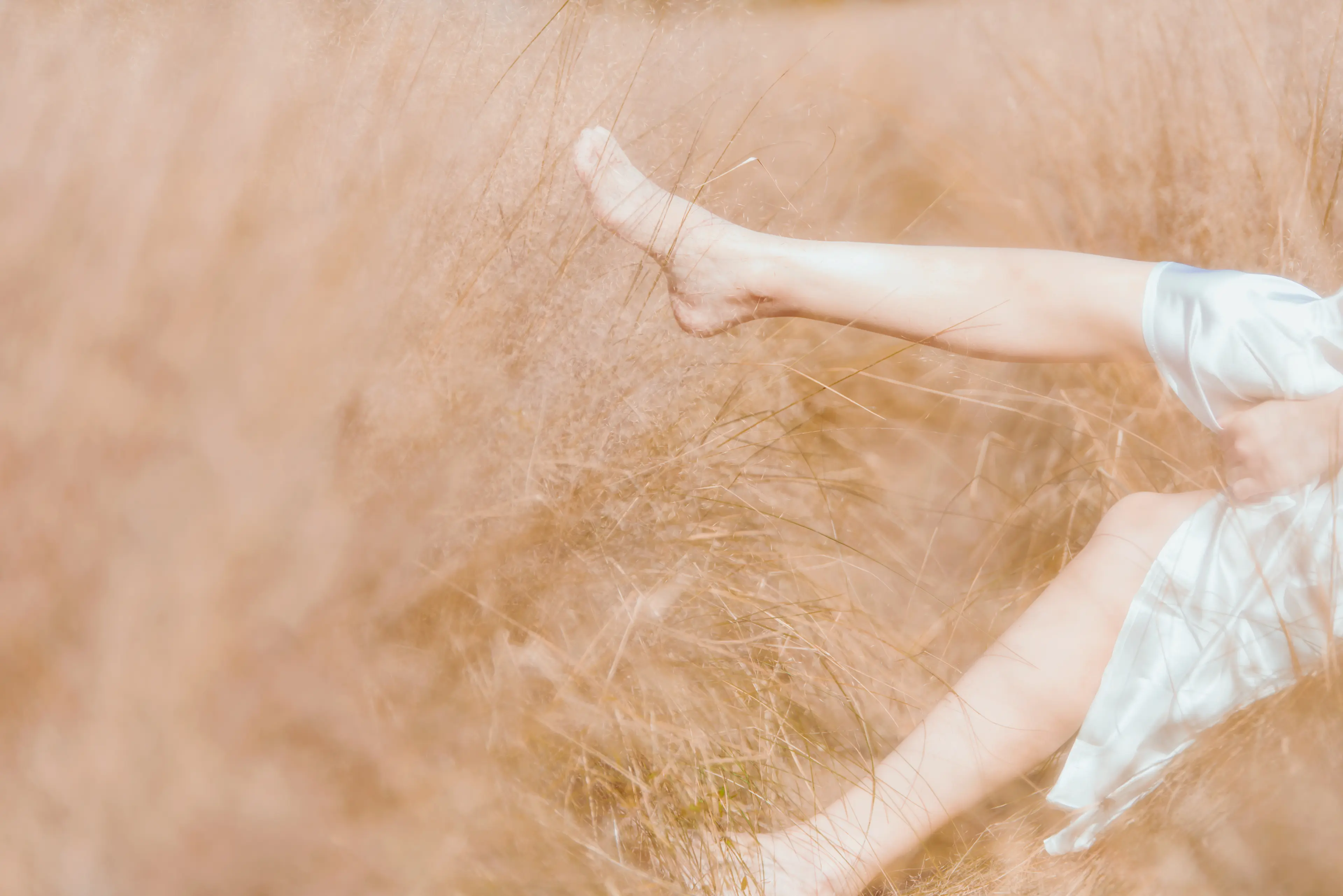 桜桃喵 原野上的浪漫 [51P]