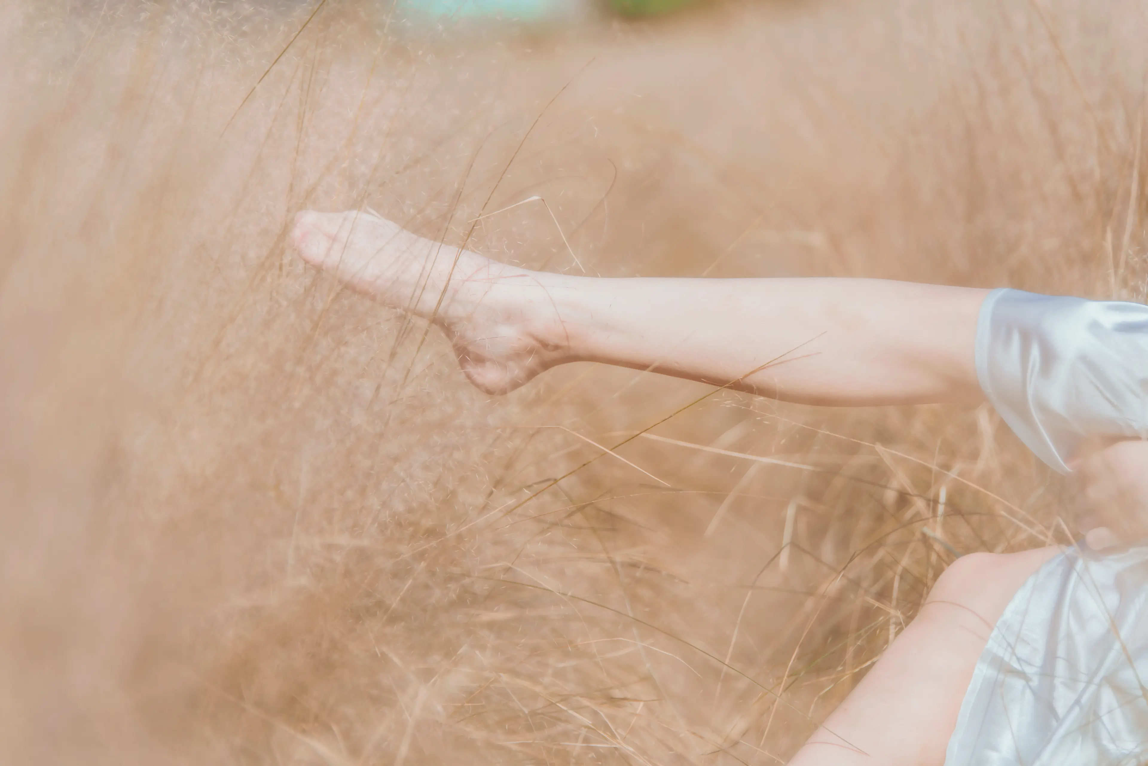 桜桃喵 原野上的浪漫 [51P]