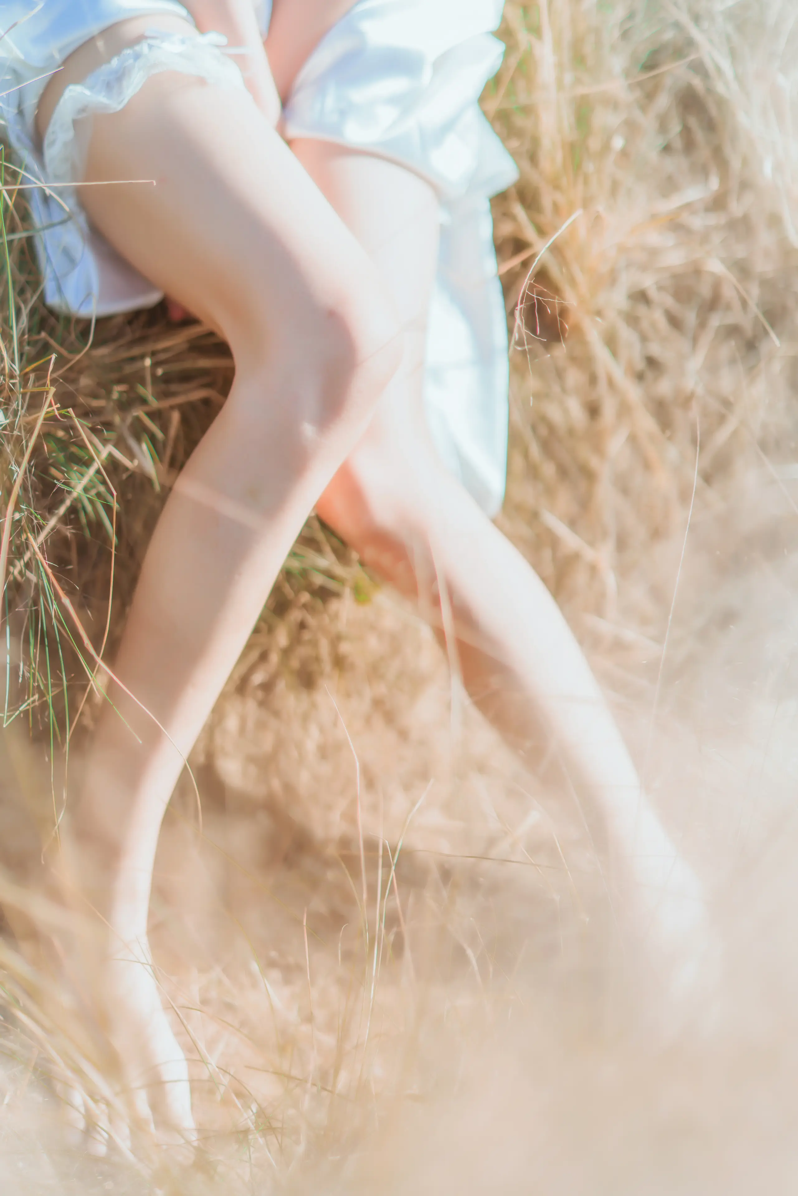 桜桃喵 原野上的浪漫 [51P]