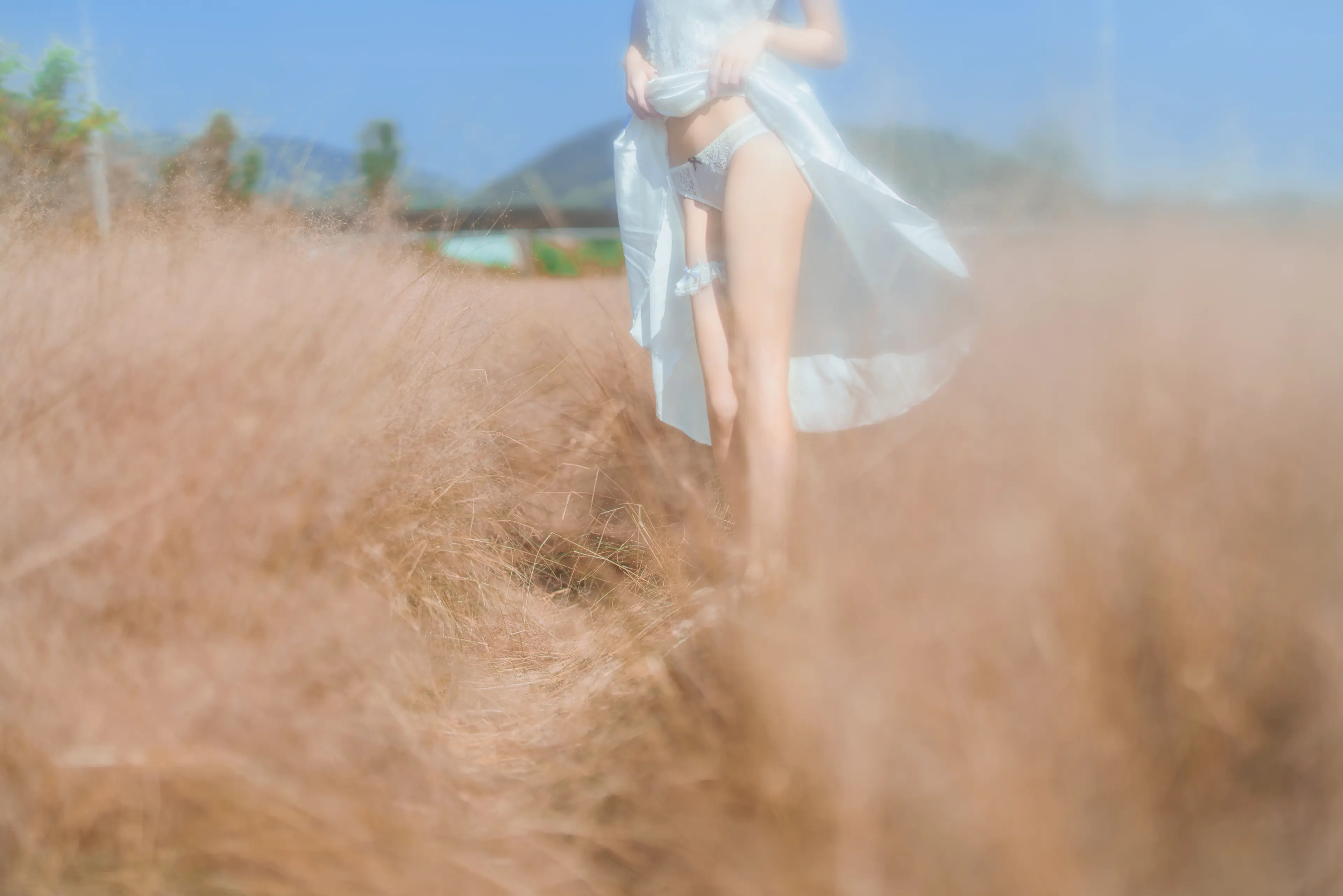 桜桃喵 原野上的浪漫 [51P]