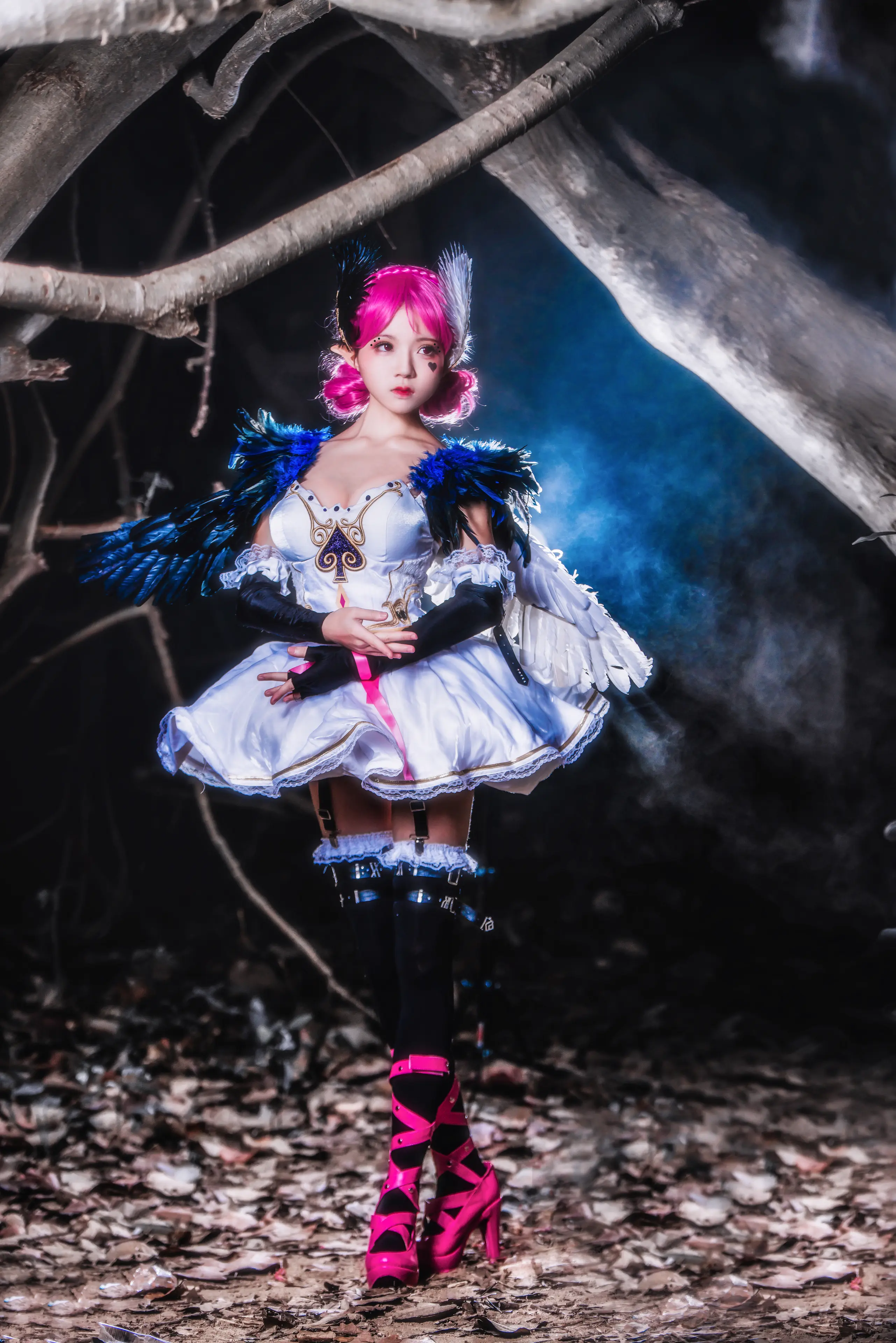 桜桃喵 天鹅之梦 [12P]