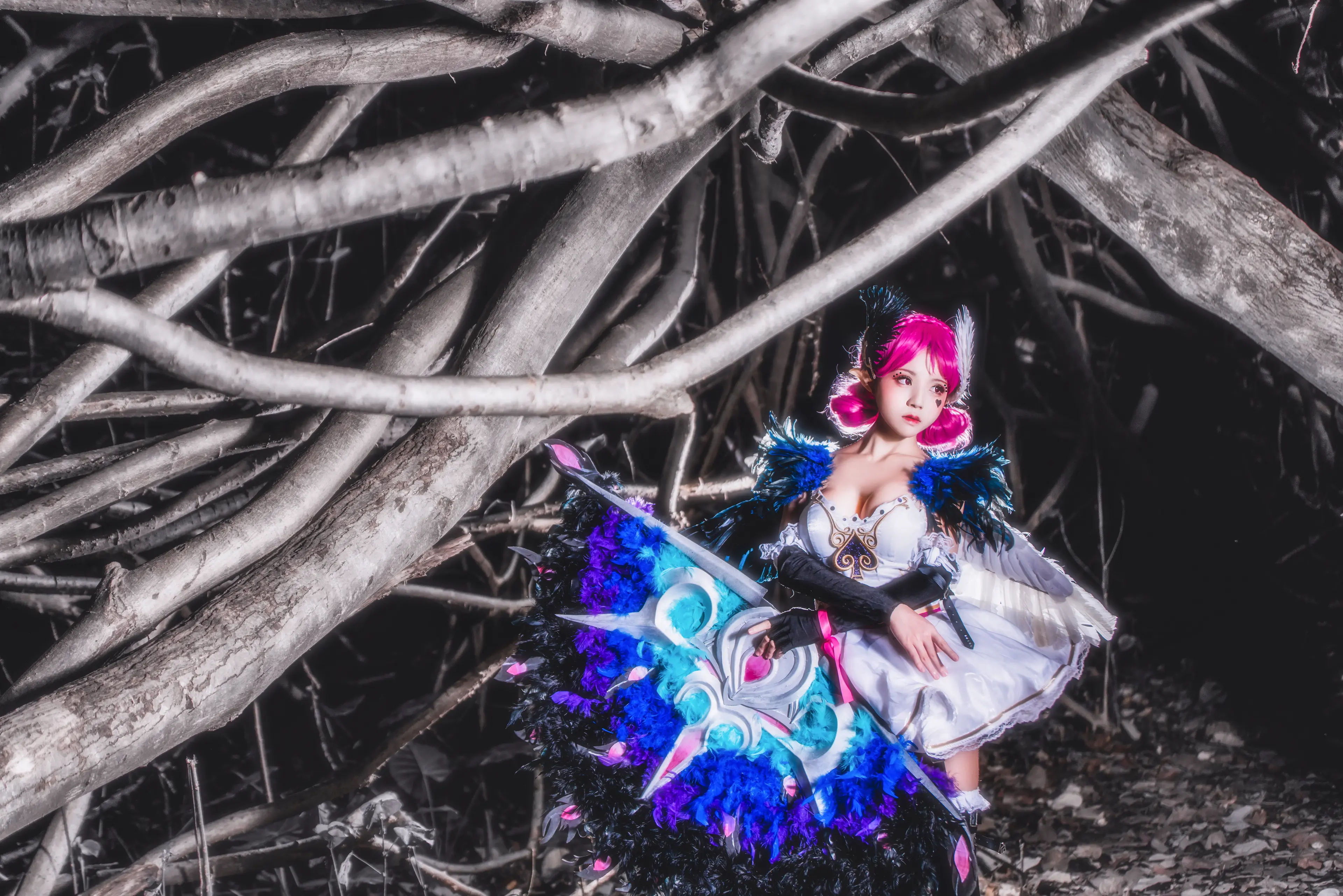 桜桃喵 天鹅之梦 [12P]