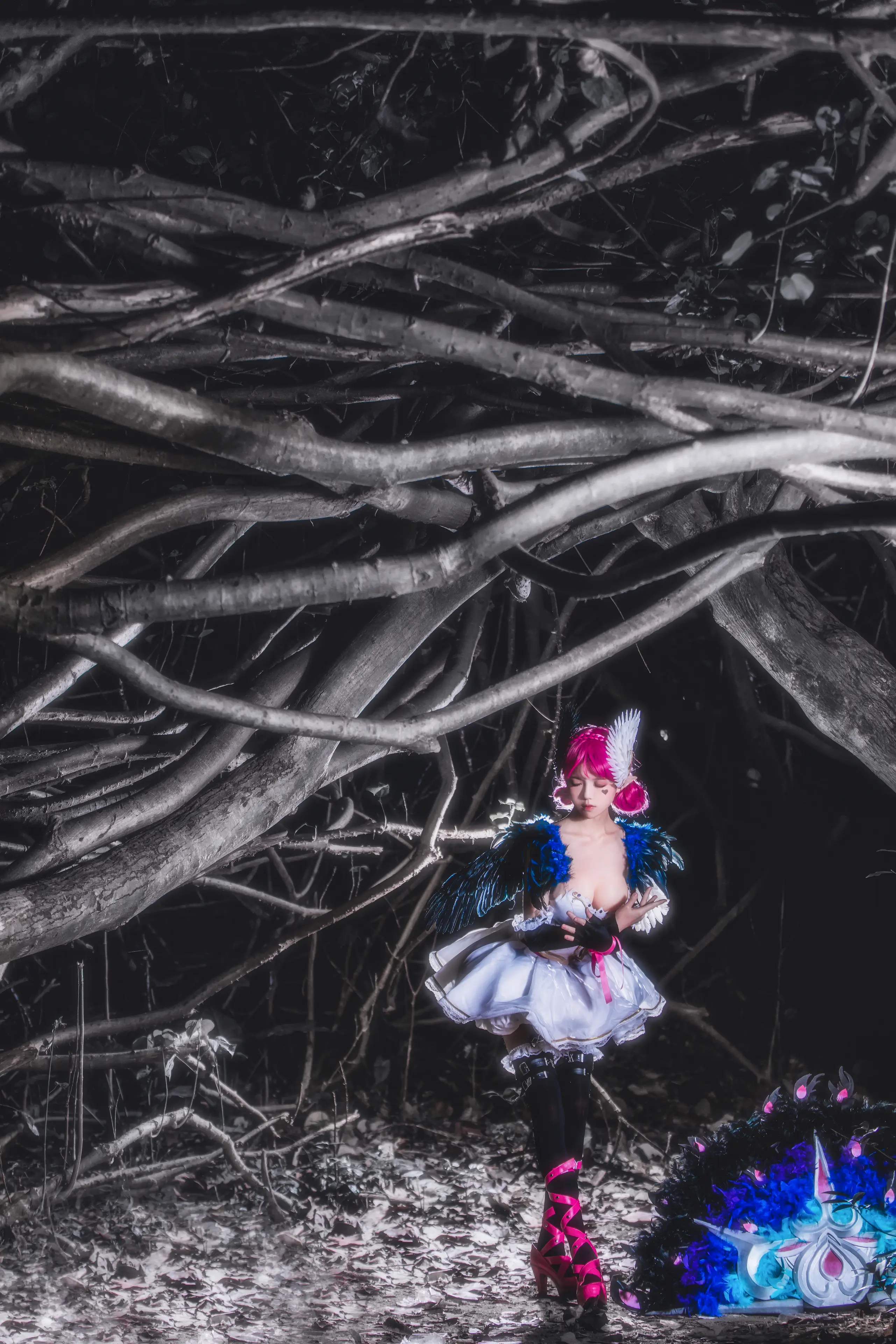 桜桃喵 天鹅之梦 [12P]