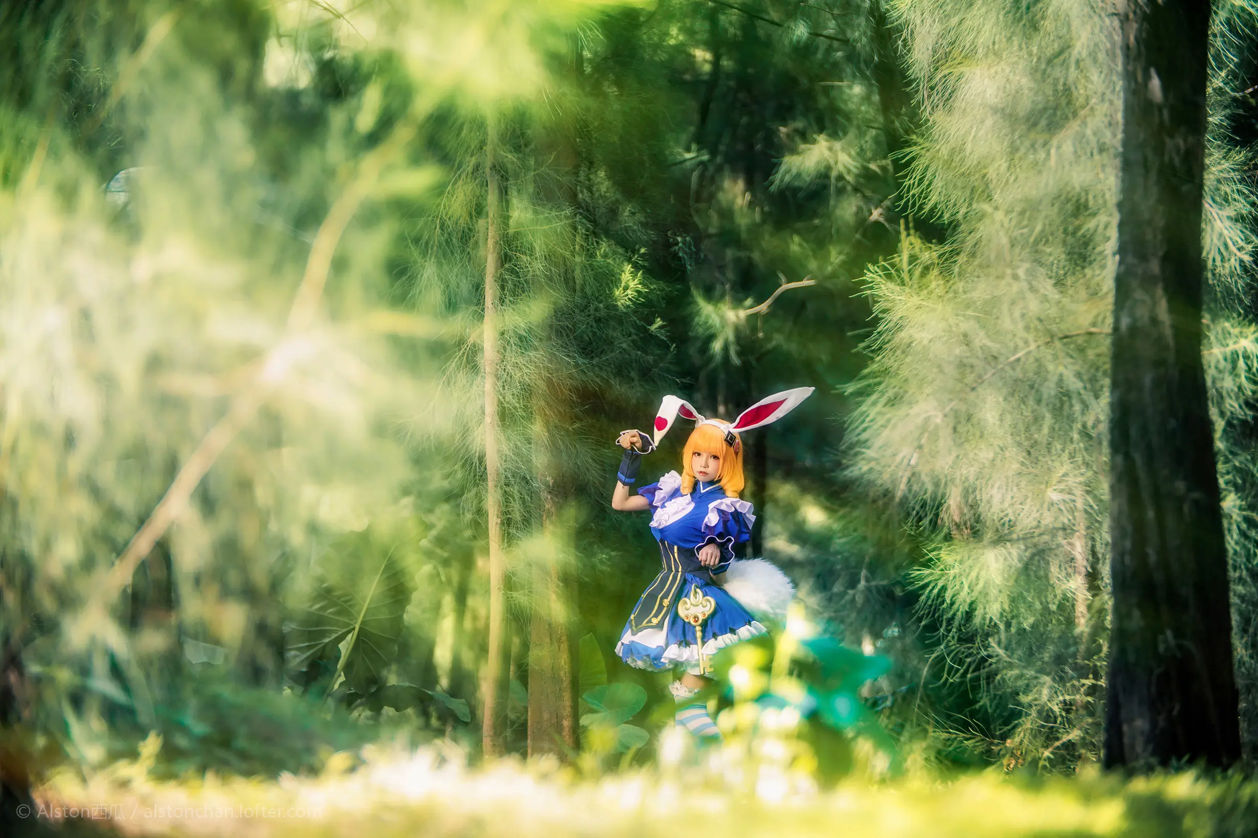 桜桃喵 妲己 [10P]