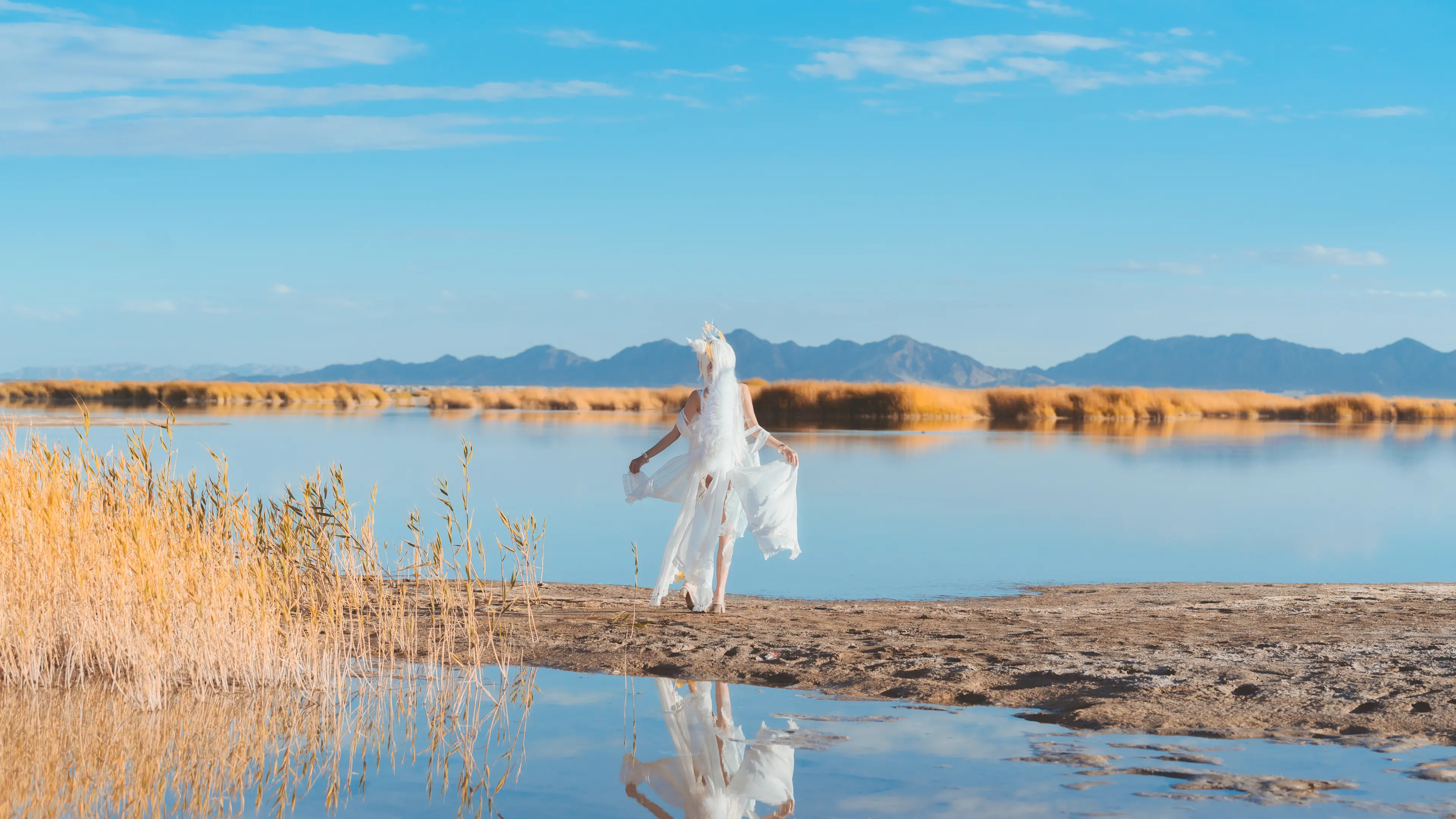 桜桃喵 明日方舟 白金 [31P]