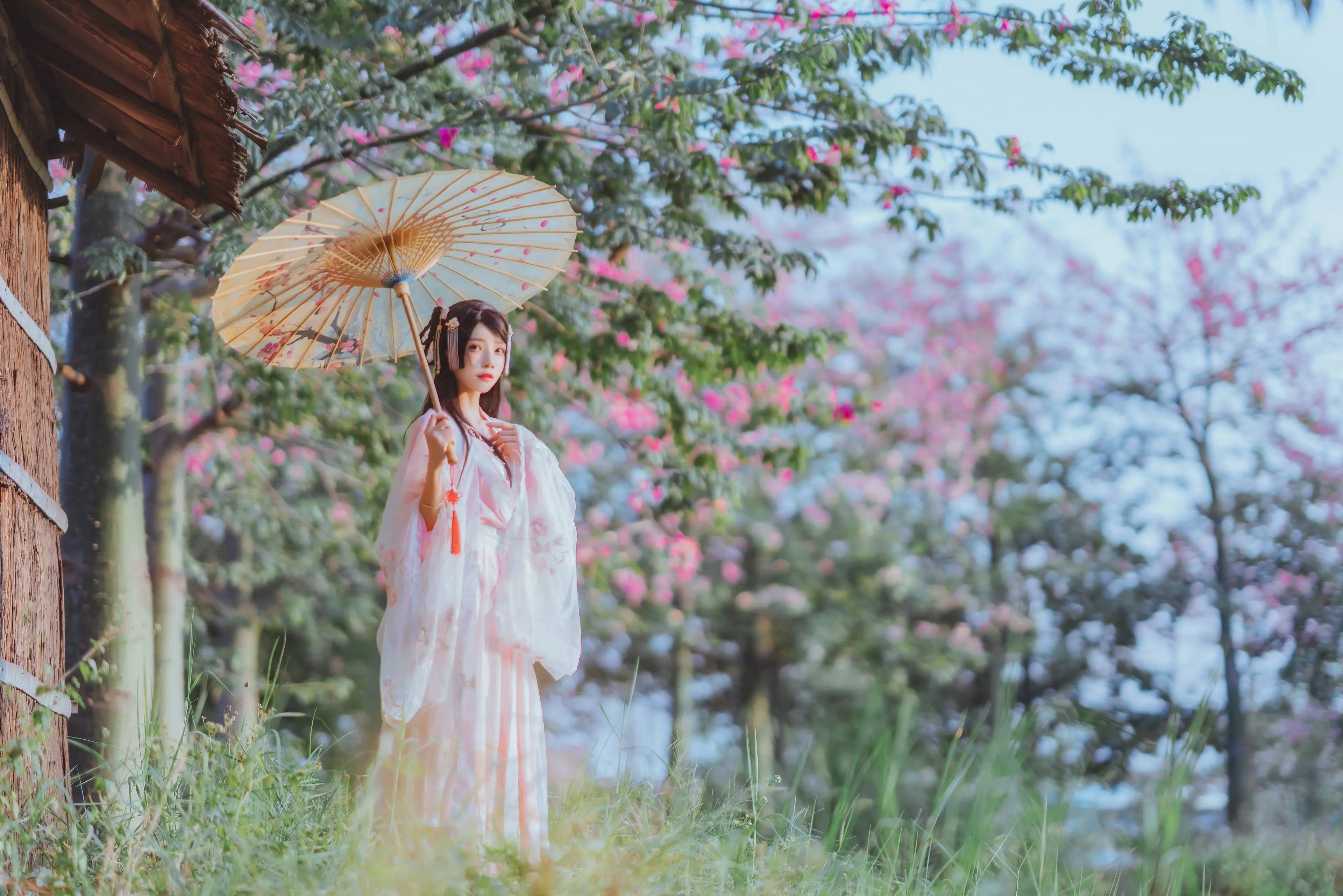 桜桃喵 温柔 汉服桃花 [15P]