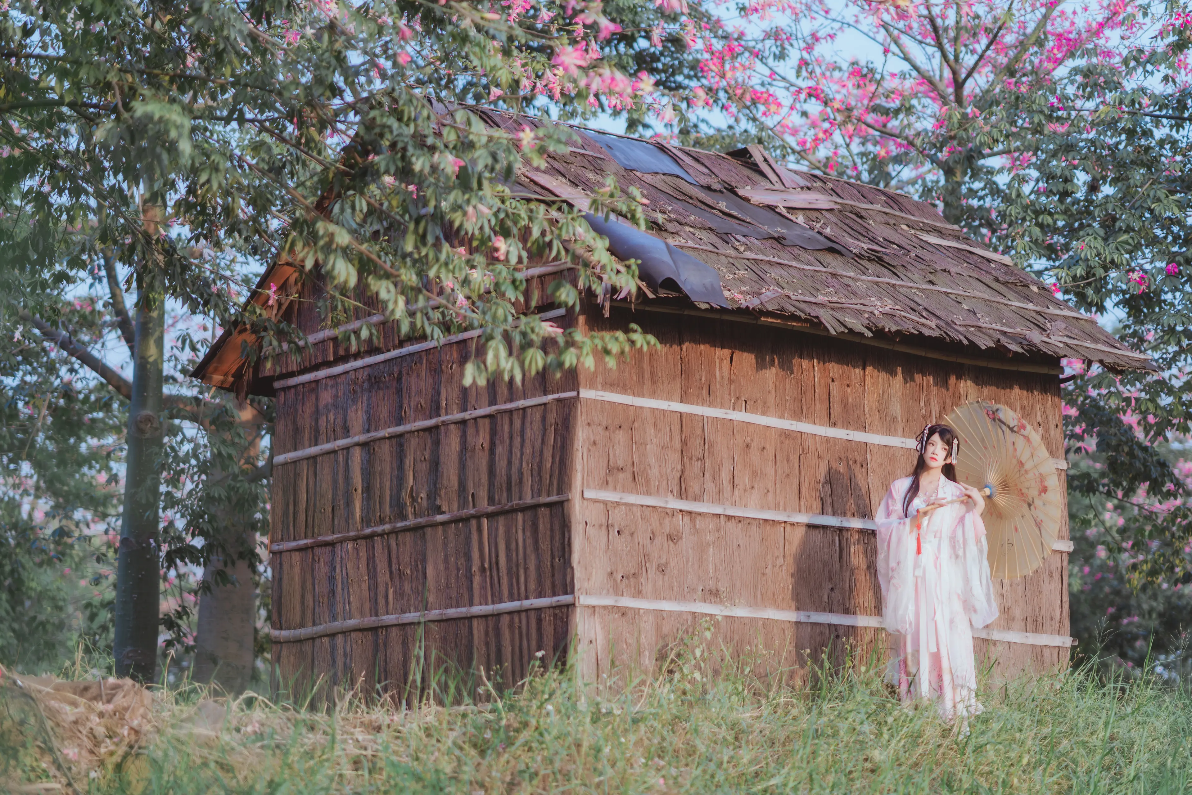 桜桃喵 温柔 汉服桃花 [15P]