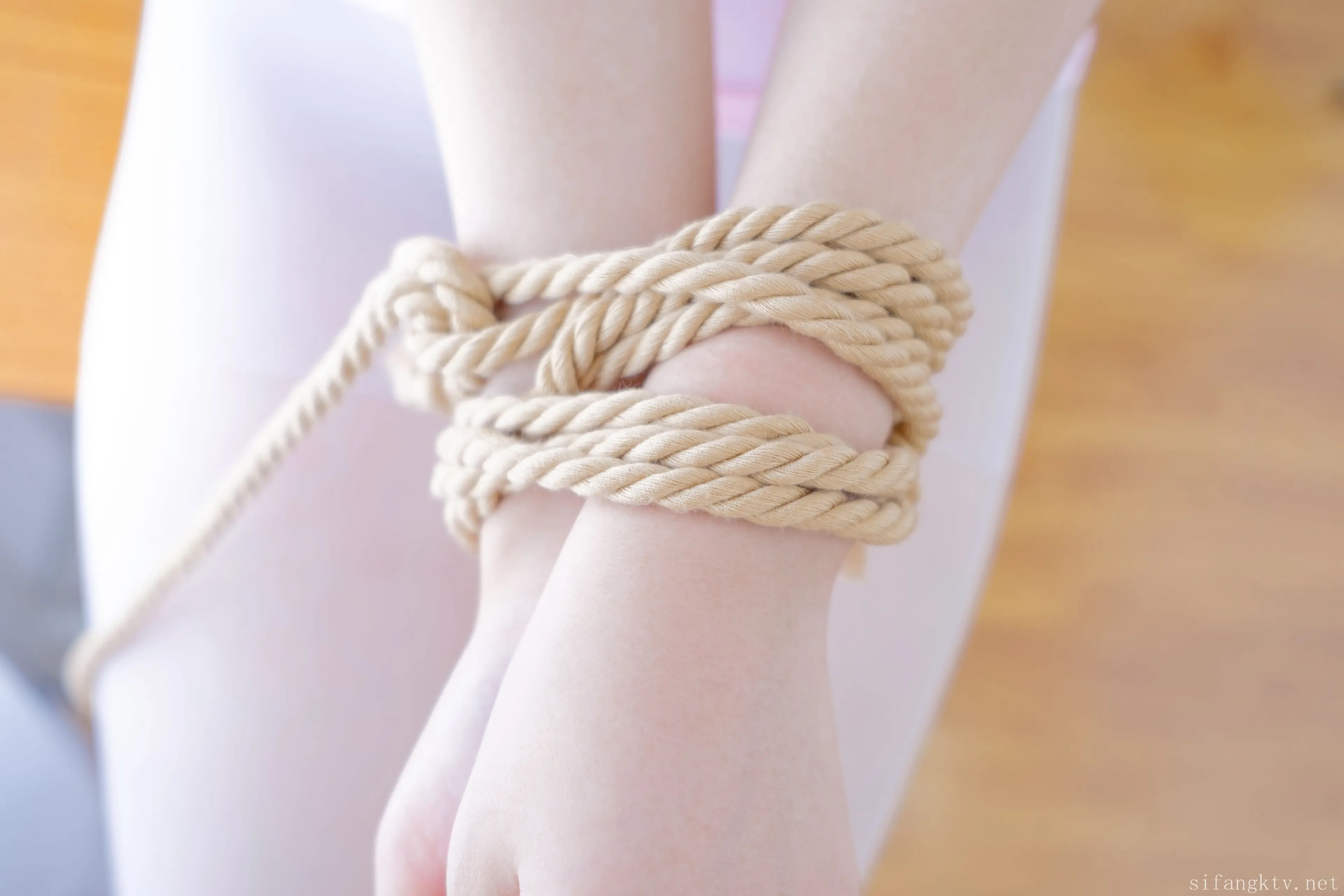 森萝财团 团子 捆绑 [83P]