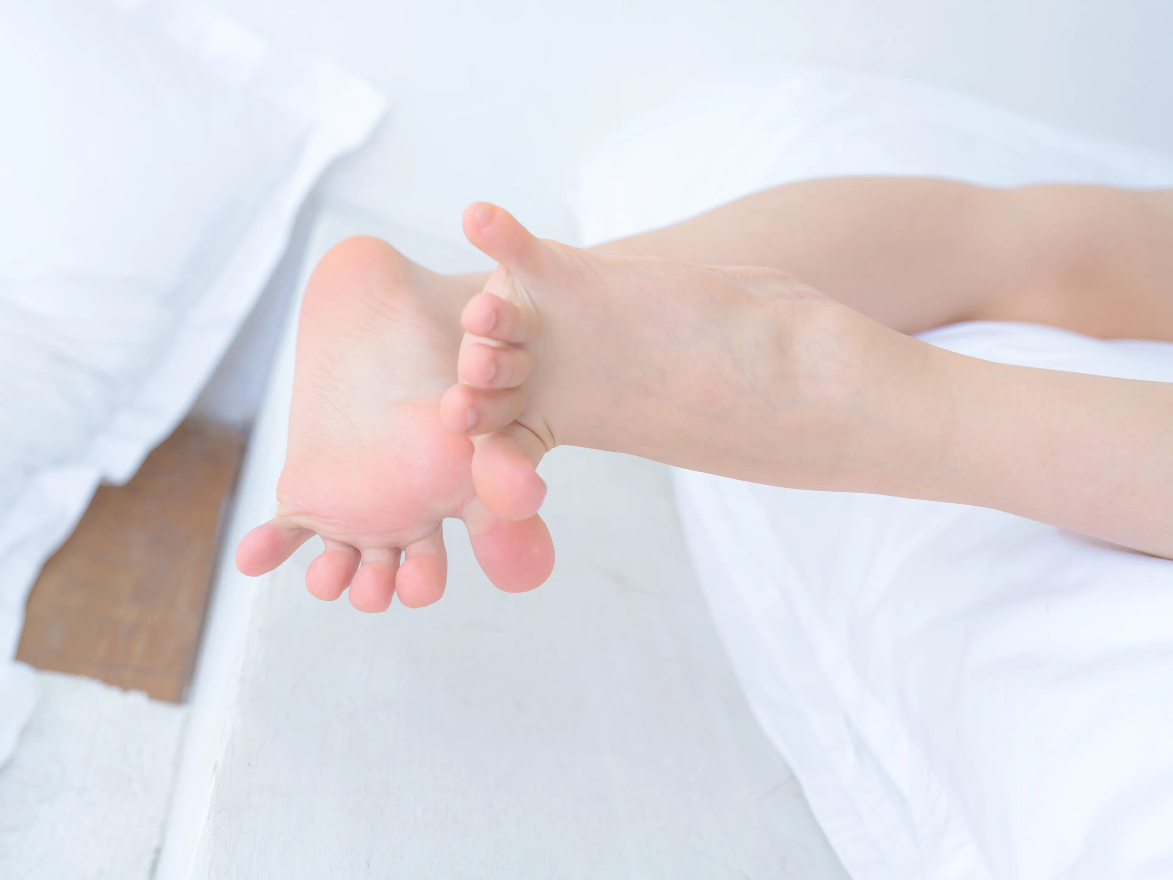 森萝财团 晴涩 06E [108P]