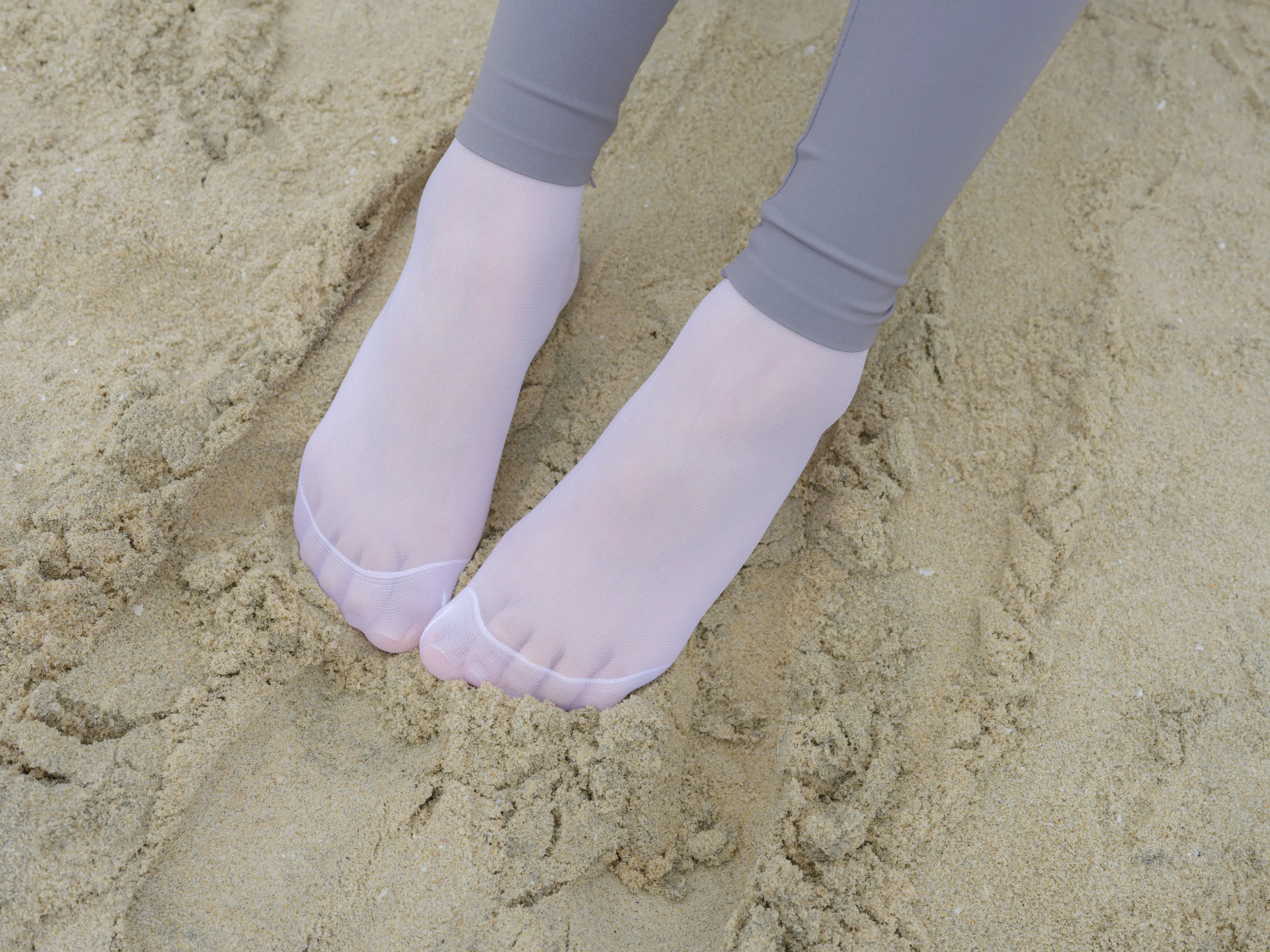 森萝财团 晴涩 11E [104P]