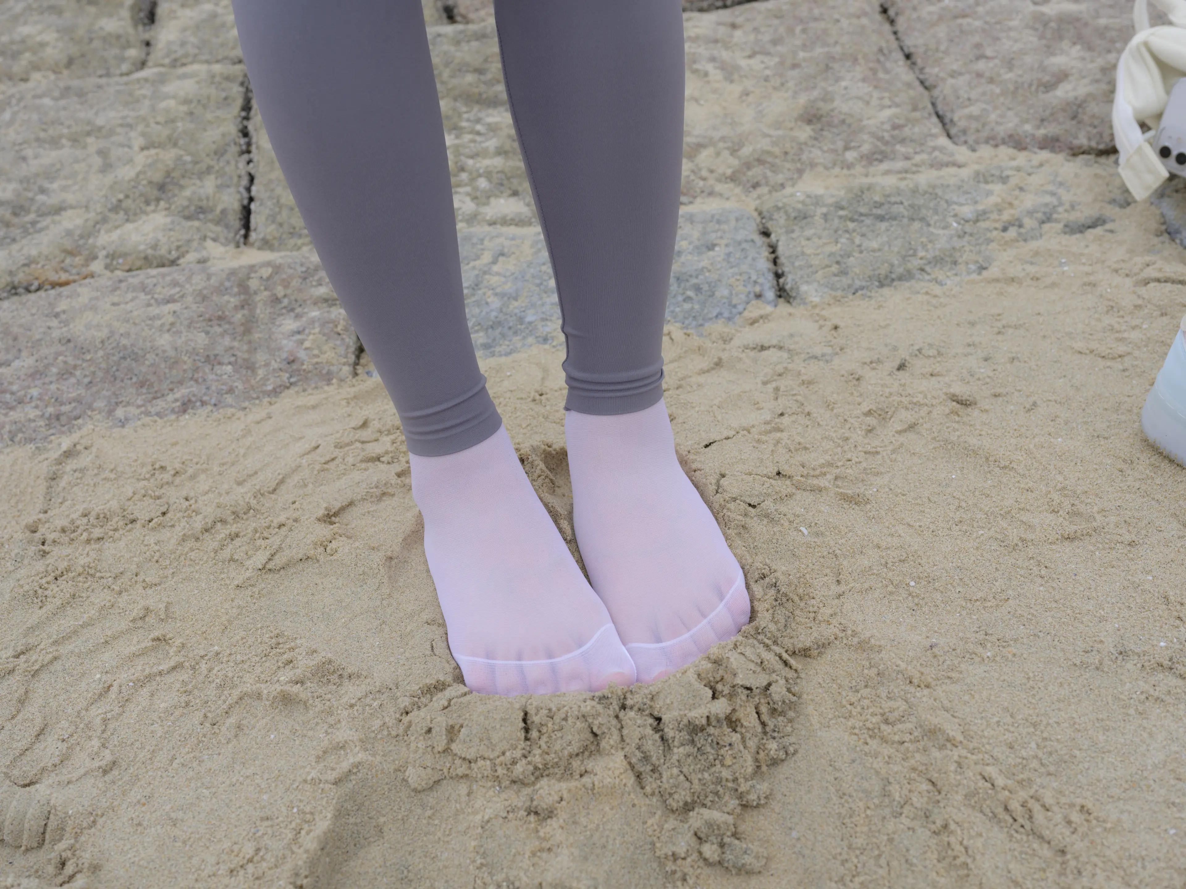 森萝财团 晴涩 11E [104P]