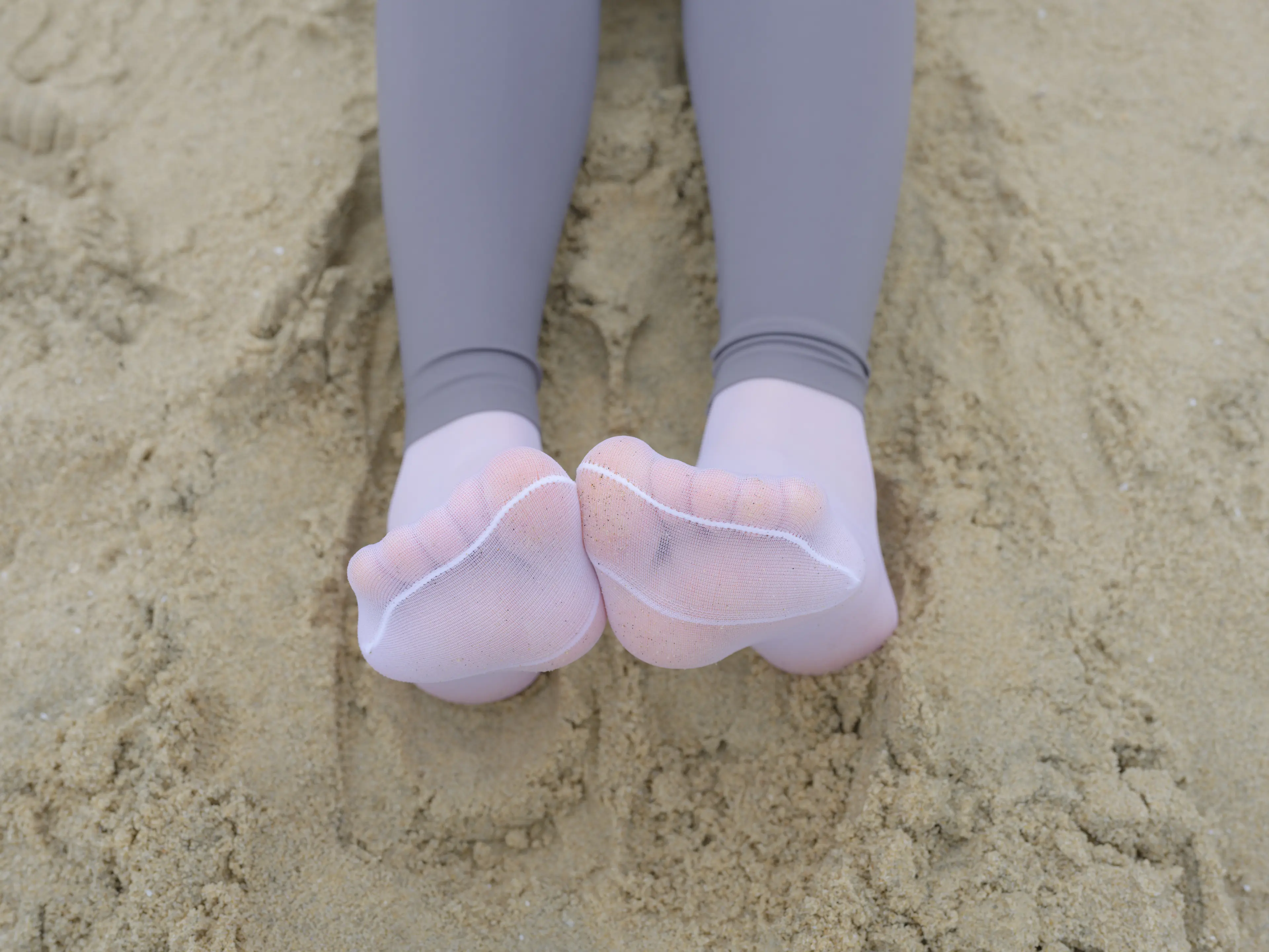 森萝财团 晴涩 11E [104P]