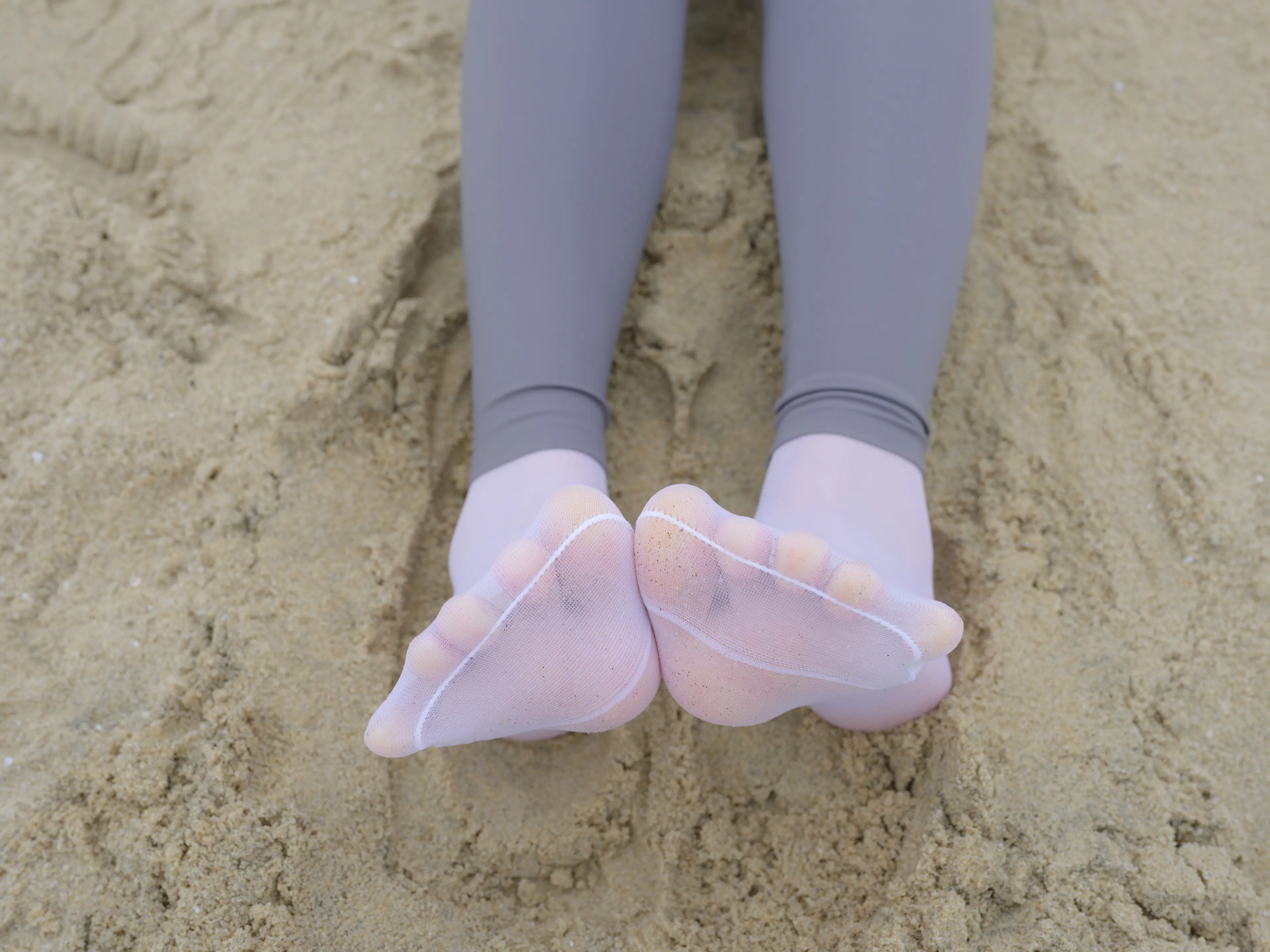 森萝财团 晴涩 11E [104P]