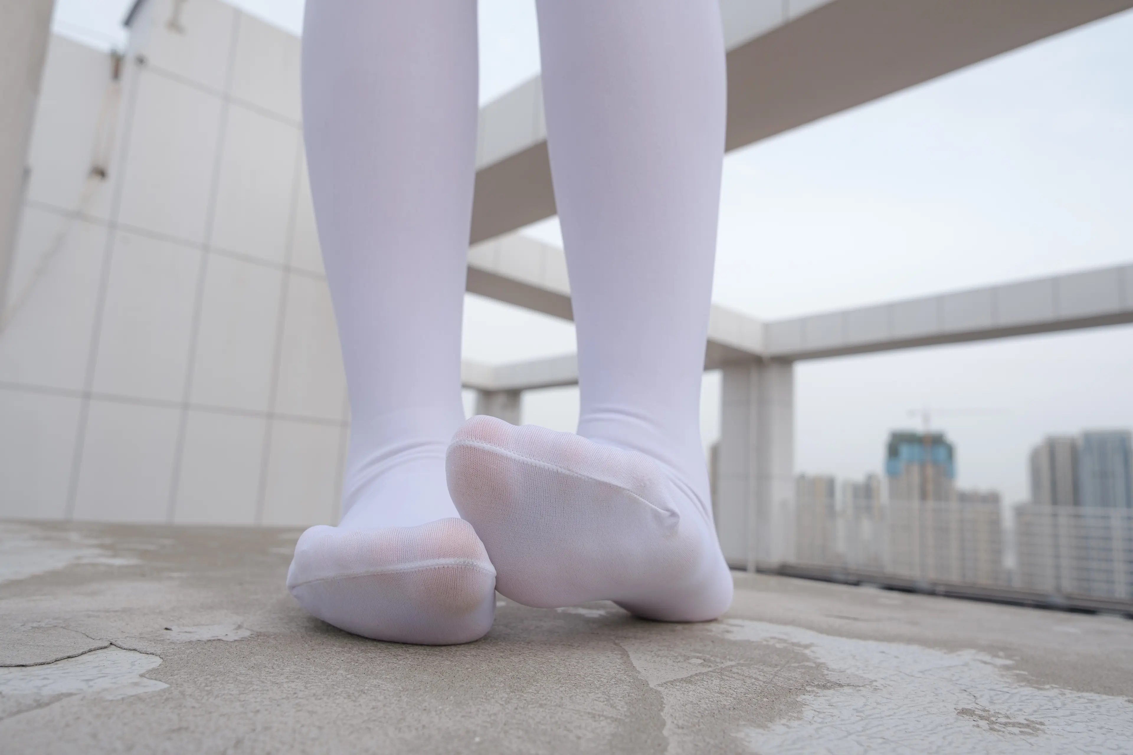 森萝财团 月下 02 [102P]