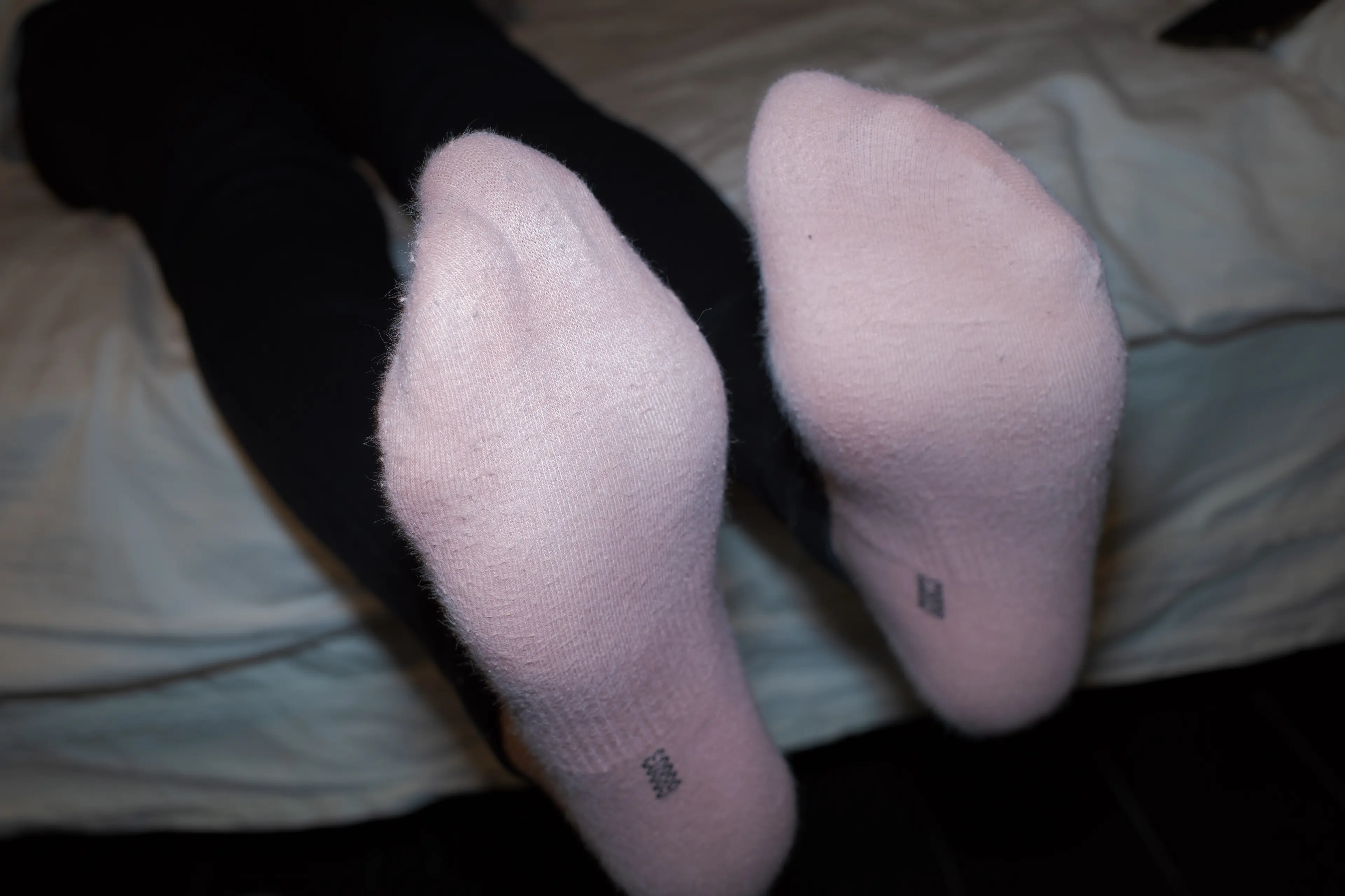 森萝财团 番外 002 小香 灰丝80D [92P]