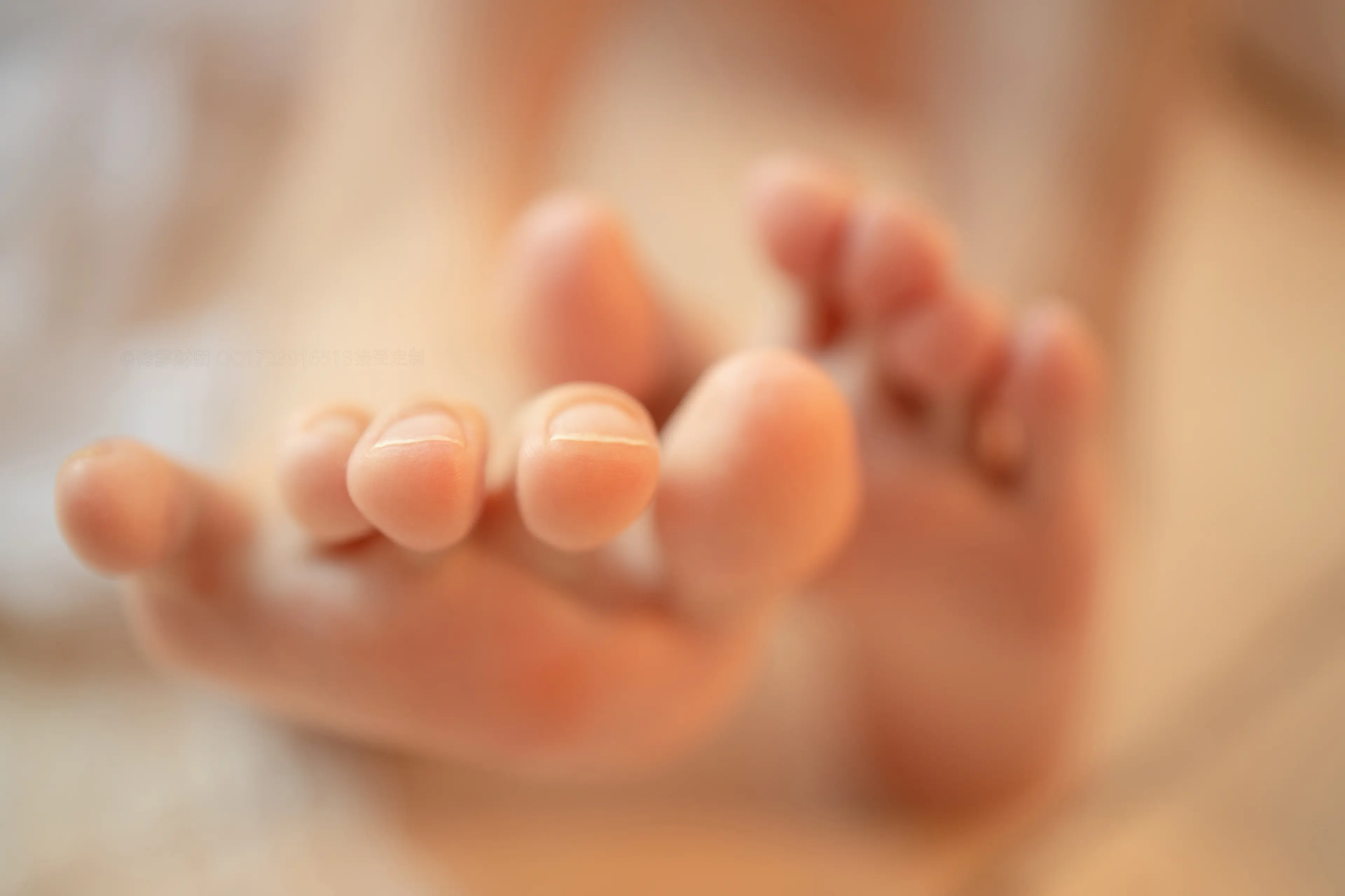 森萝财团 ALPHA 护士小姐姐白丝 [115P]