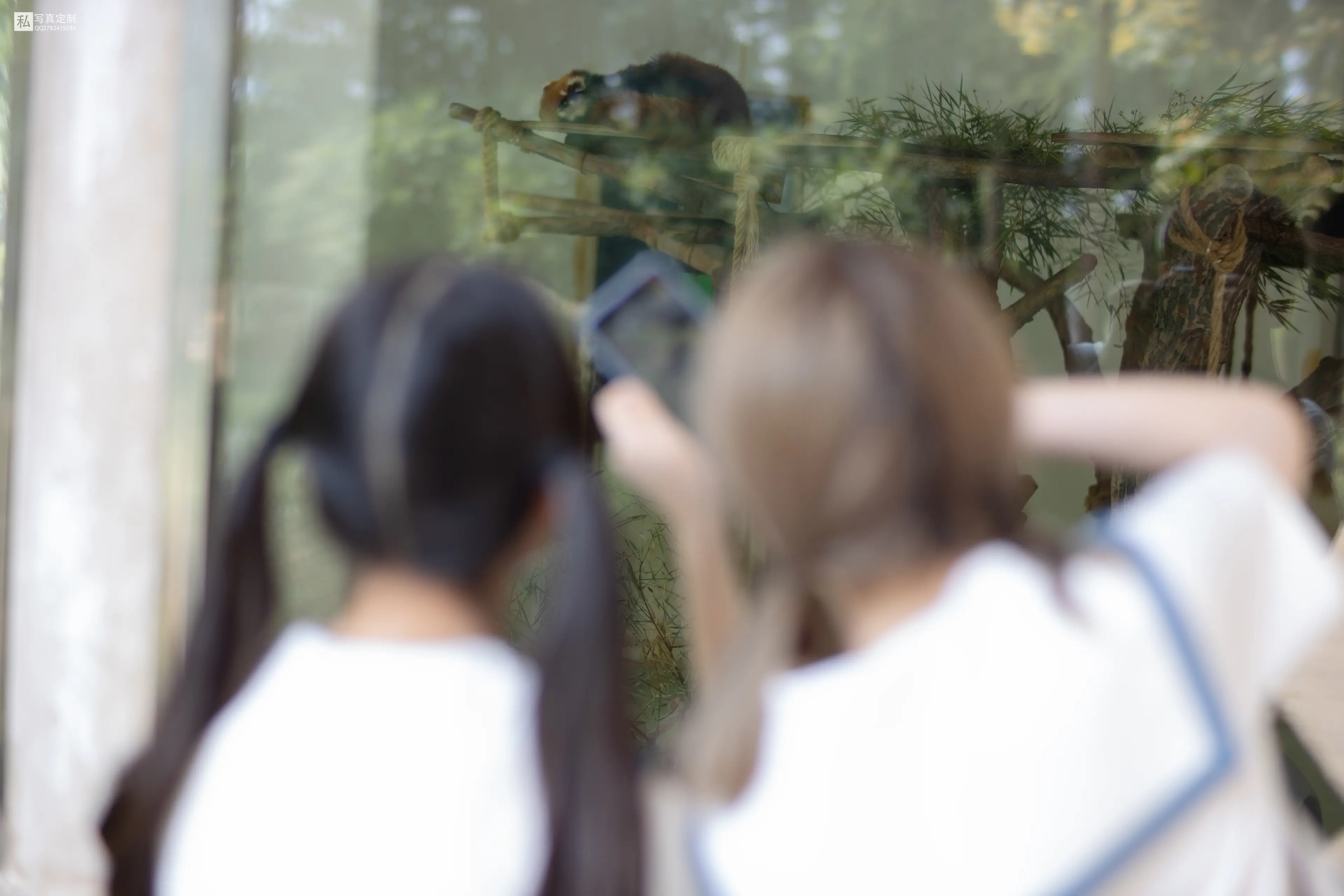 森萝财团 JKFUN 默陌&Aika 80D白丝过膝袜两女一ZOO [93P]