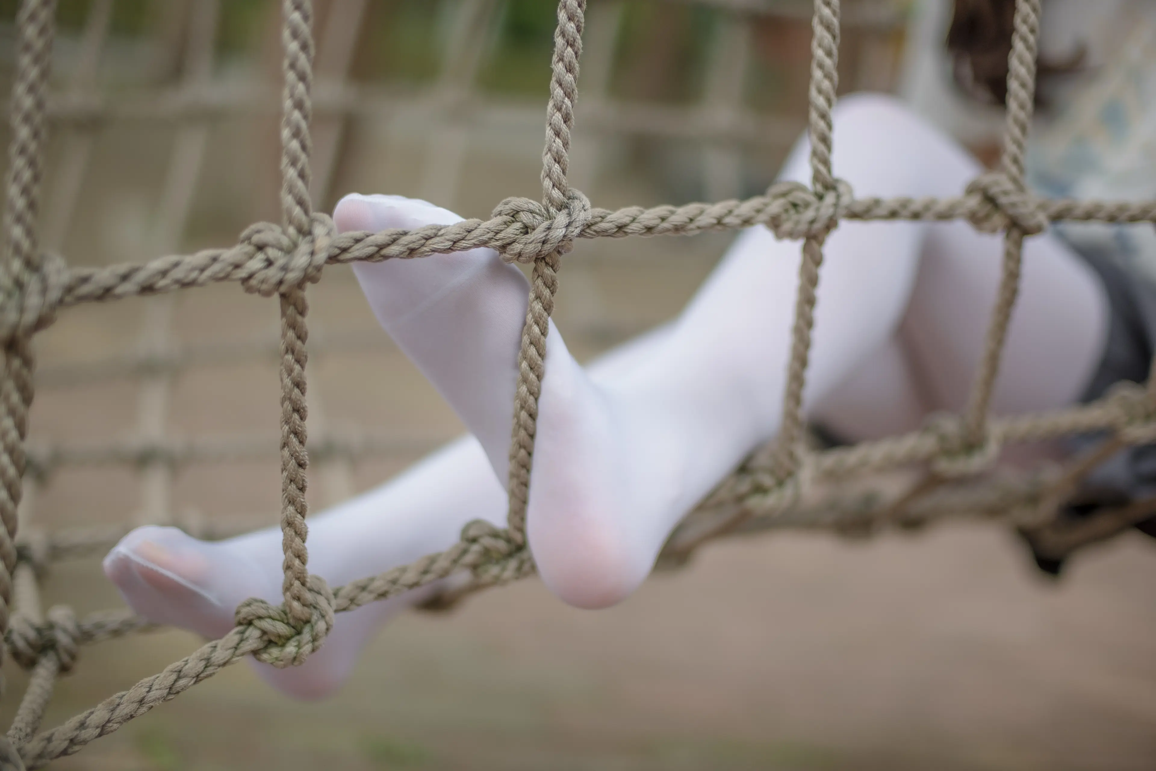 森萝财团 R15 白丝妹妹游园 [99P]