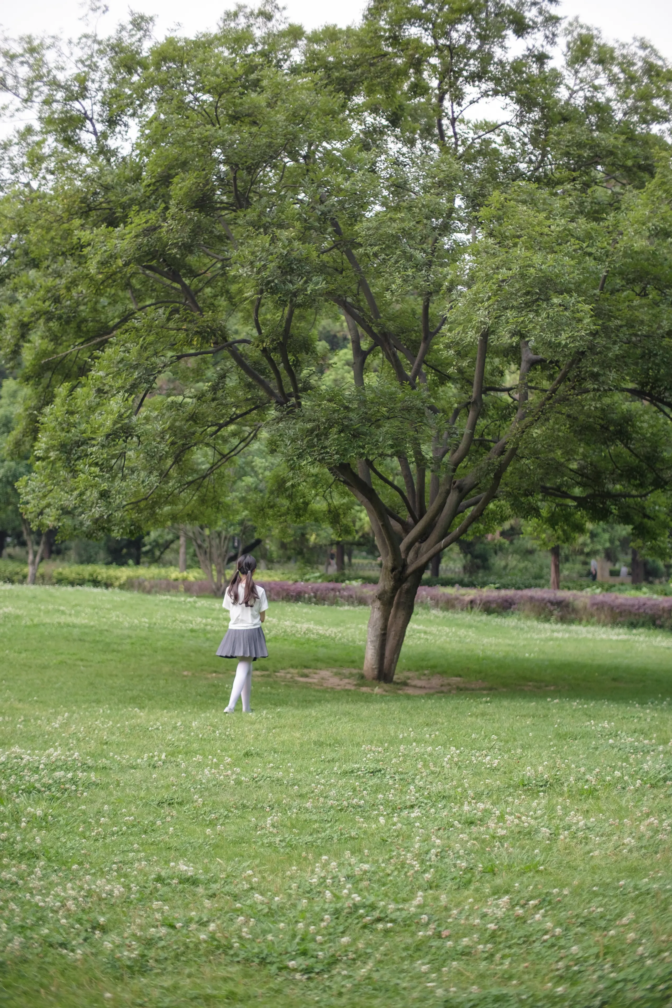 森萝财团 R15 白丝妹妹游园 [99P]