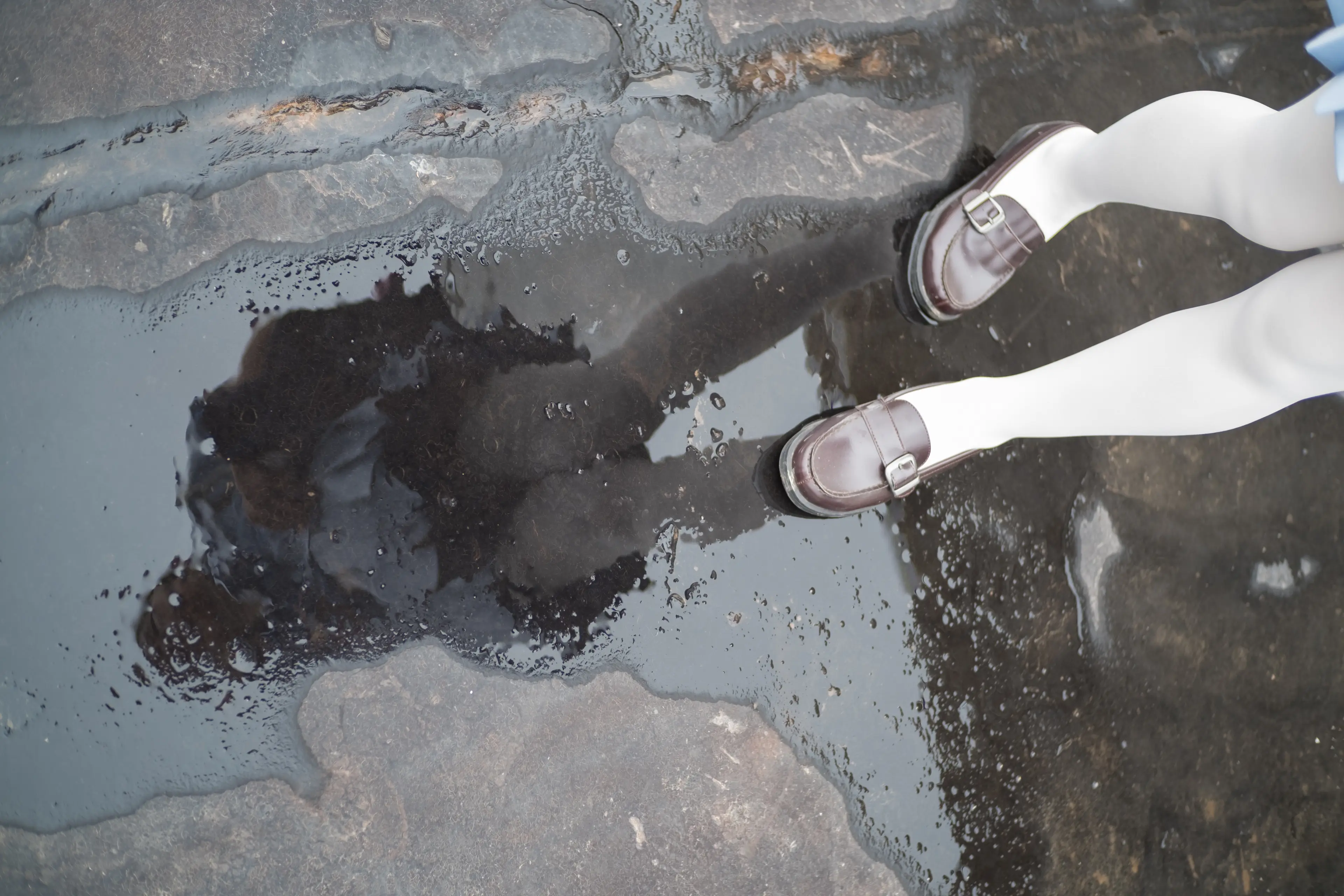 森萝财团 R15 白丝高考学妹 [84P]