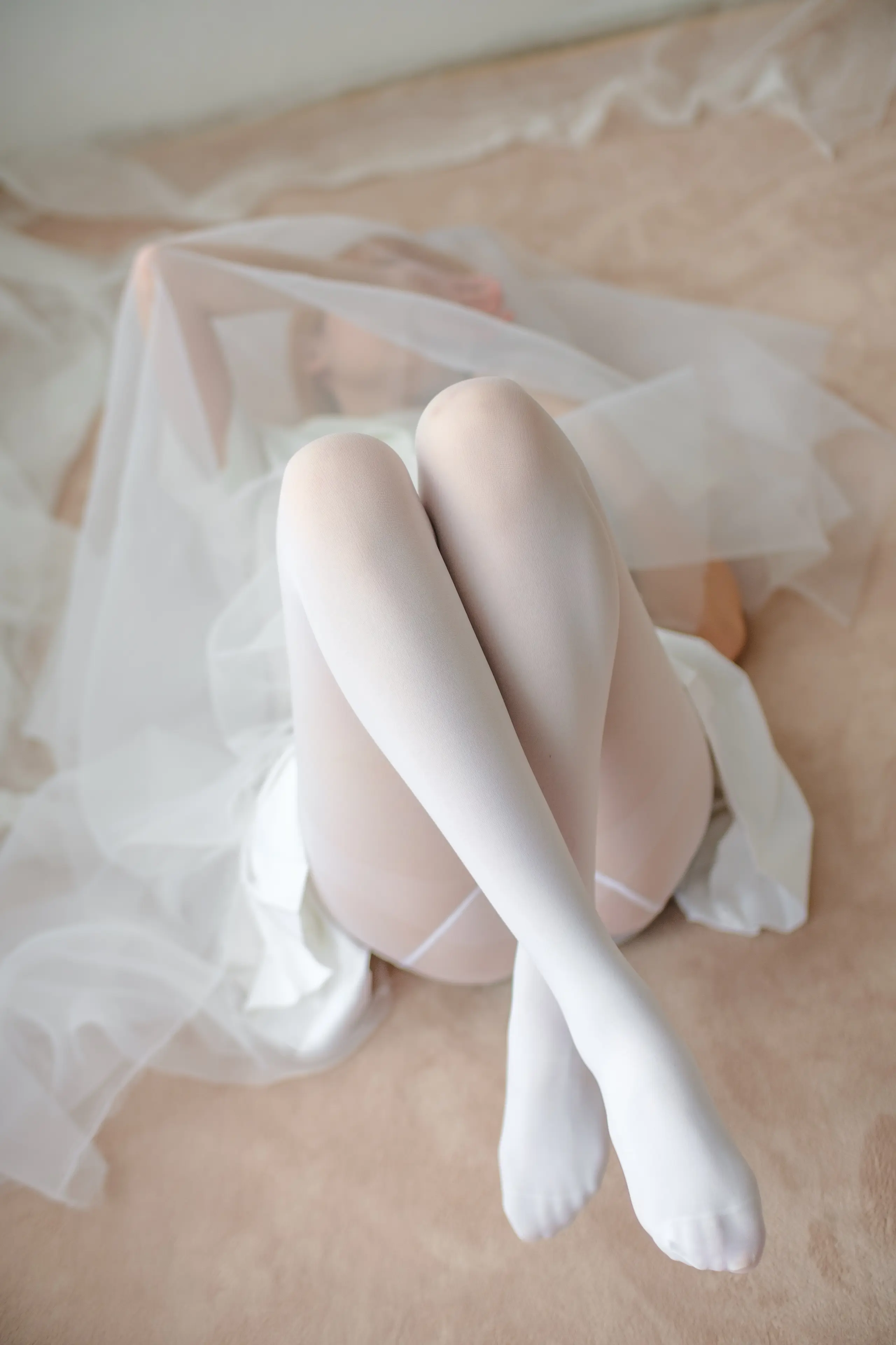 森萝财团 X 明天我要嫁给你啦 [116P]