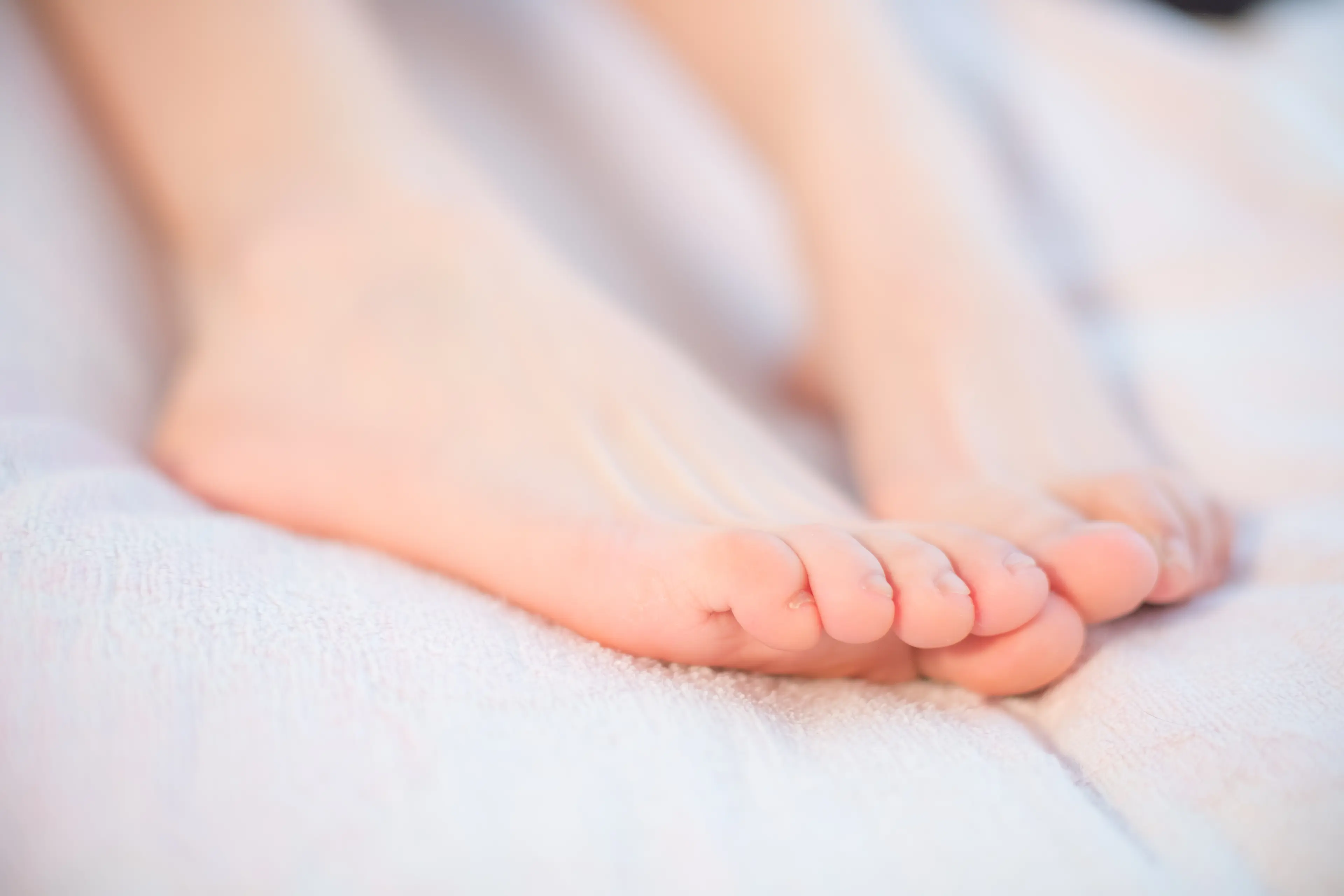 森萝财团 X 毛衣黑丝 [117P]