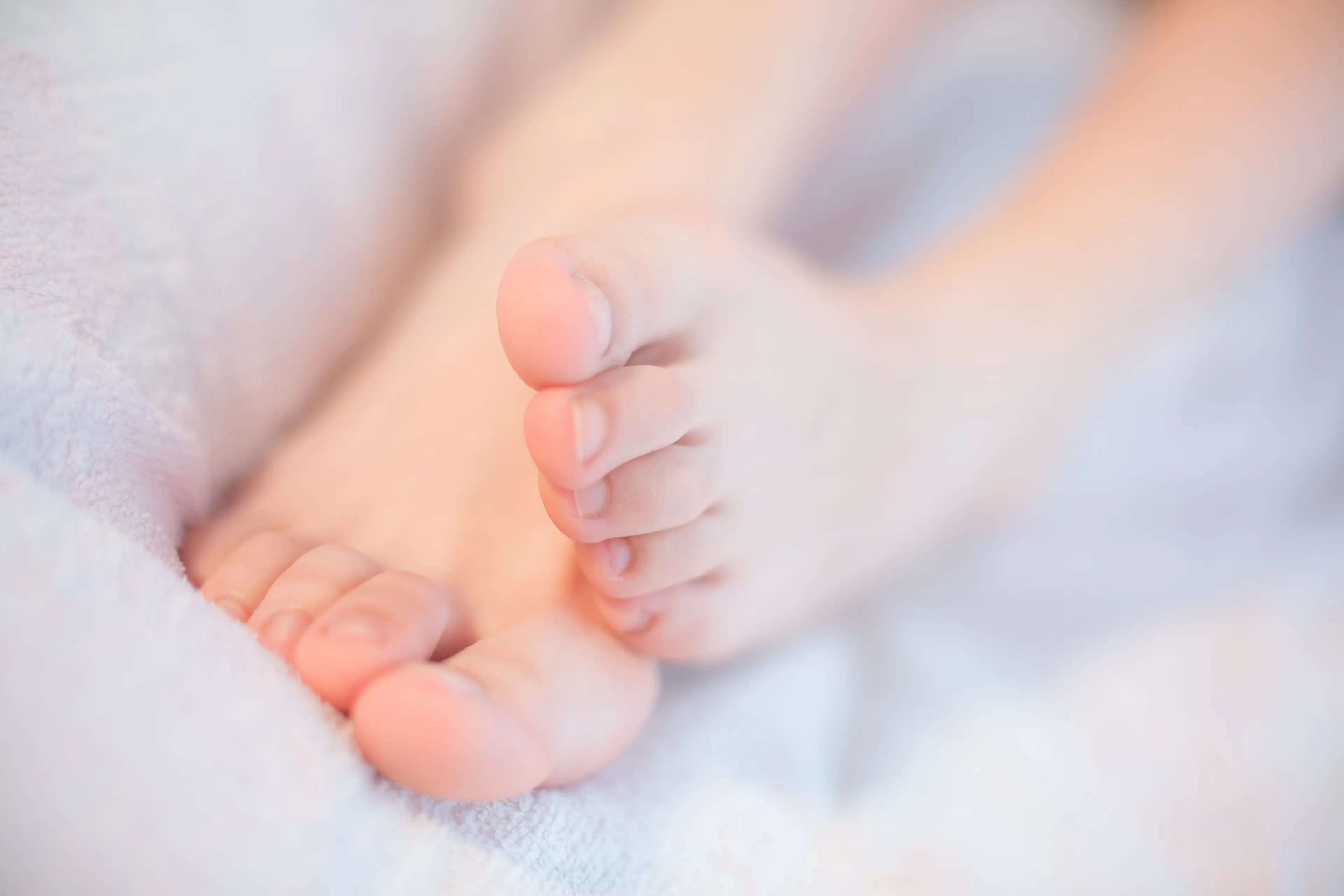 森萝财团 X 毛衣黑丝 [117P]