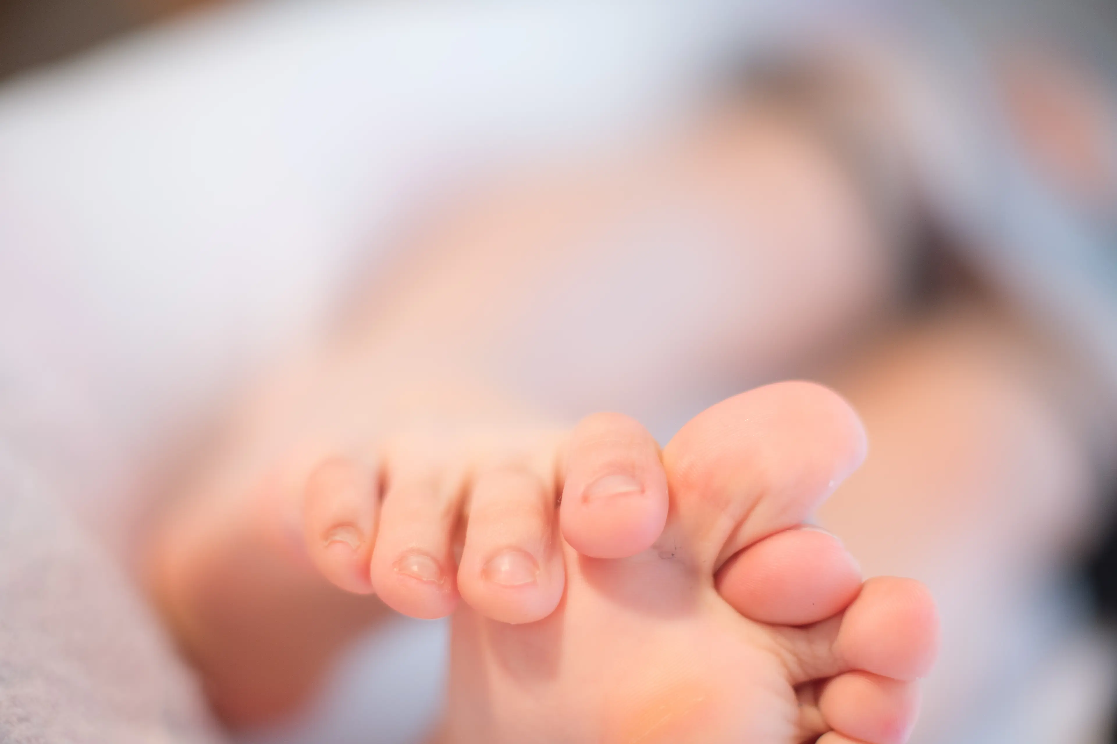 森萝财团 X 毛衣黑丝 [117P]