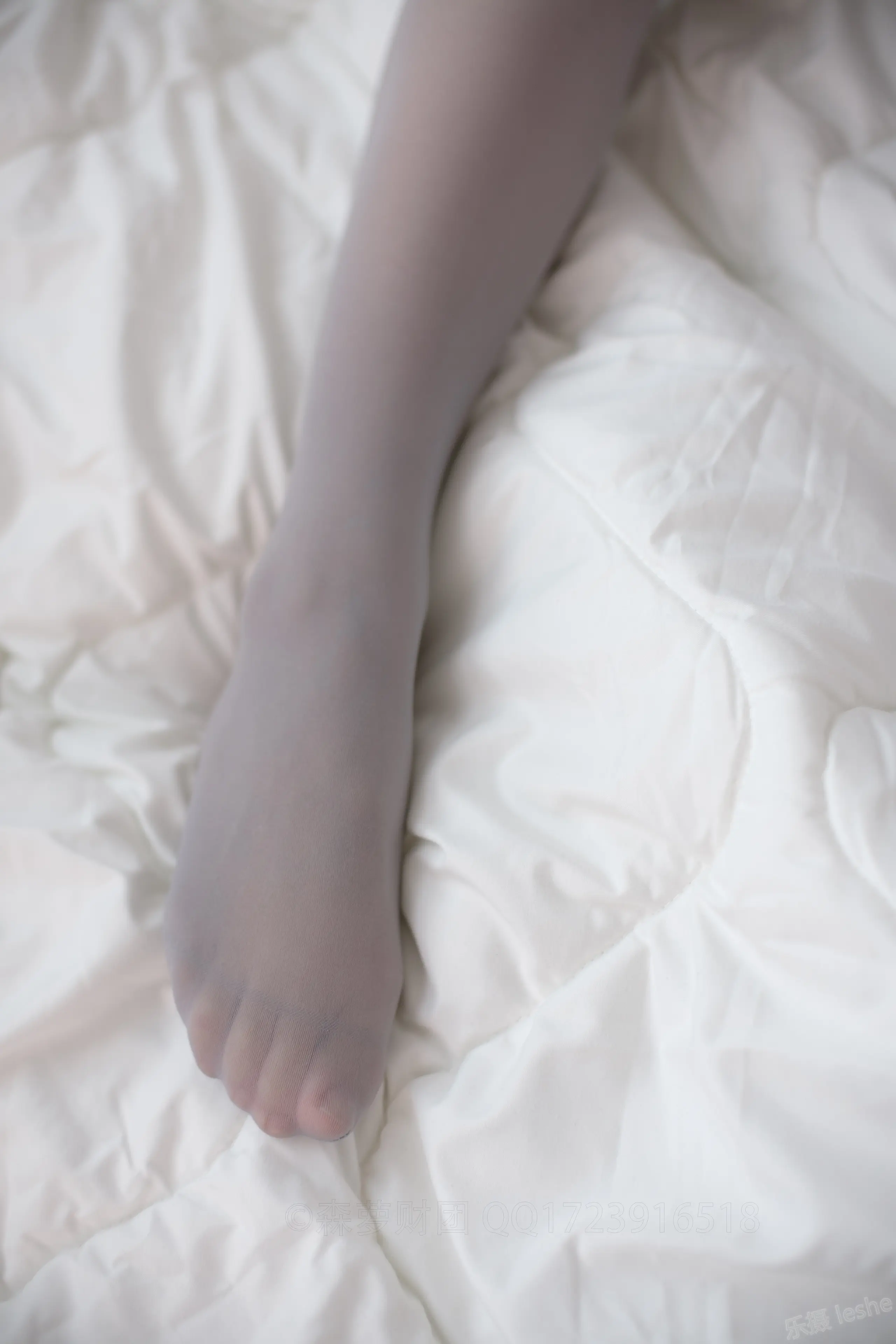 森萝财团 X 灰丝情趣旗袍 [96P]