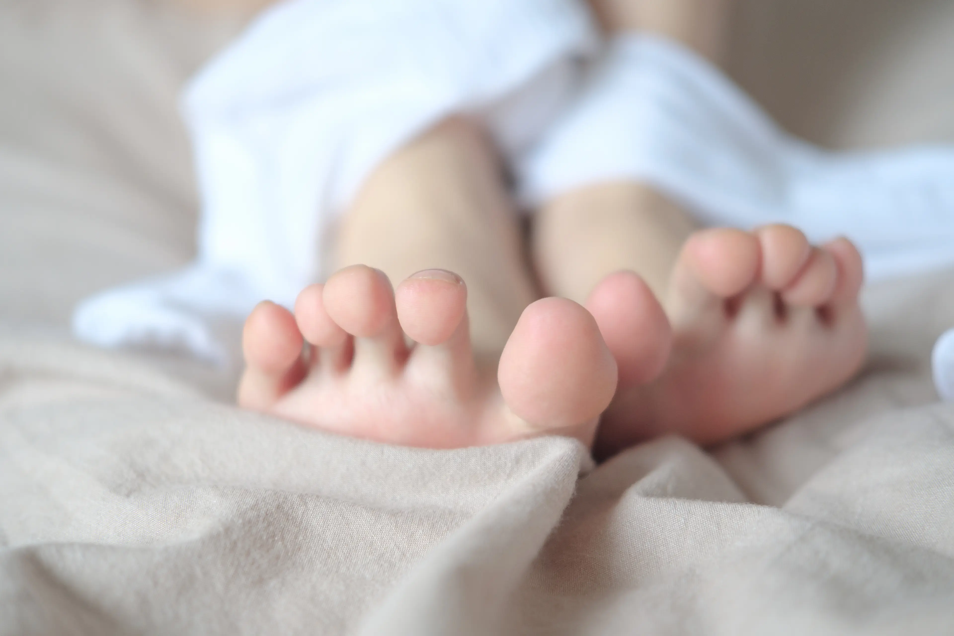 森萝财团 X 猫系少女 [88P]