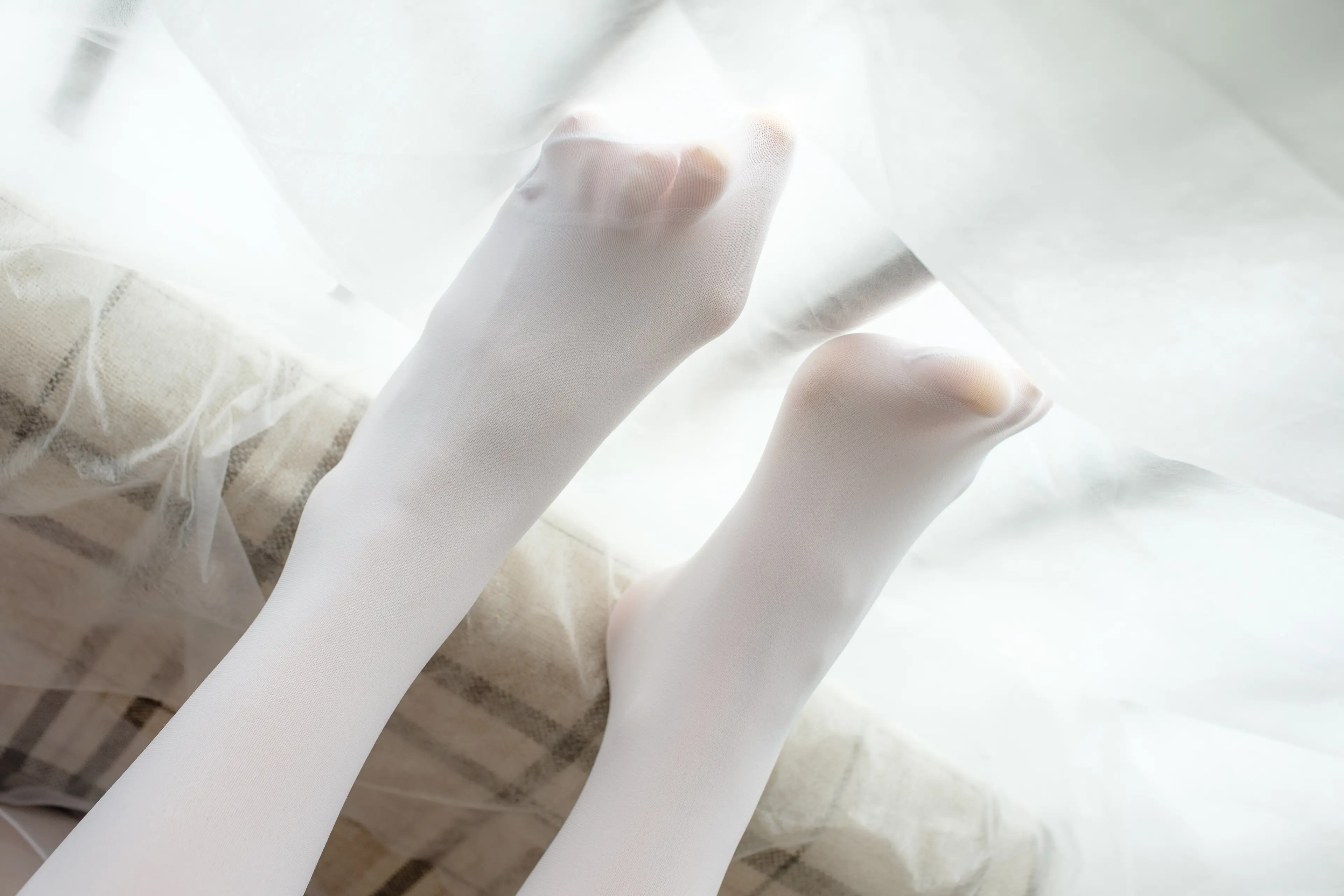 森萝财团 X 萝莉白丝 [95P]