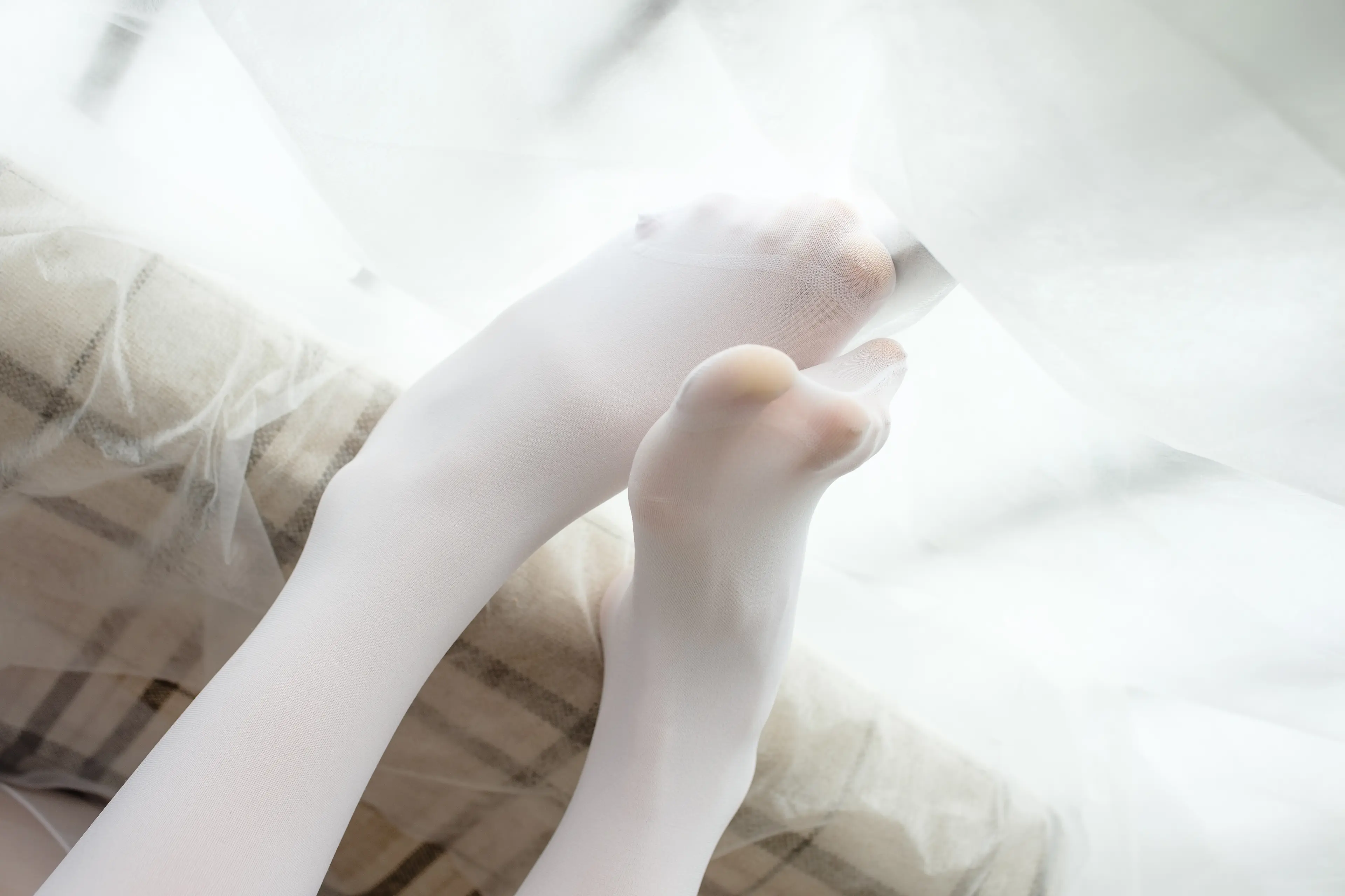 森萝财团 X 萝莉白丝 [95P]