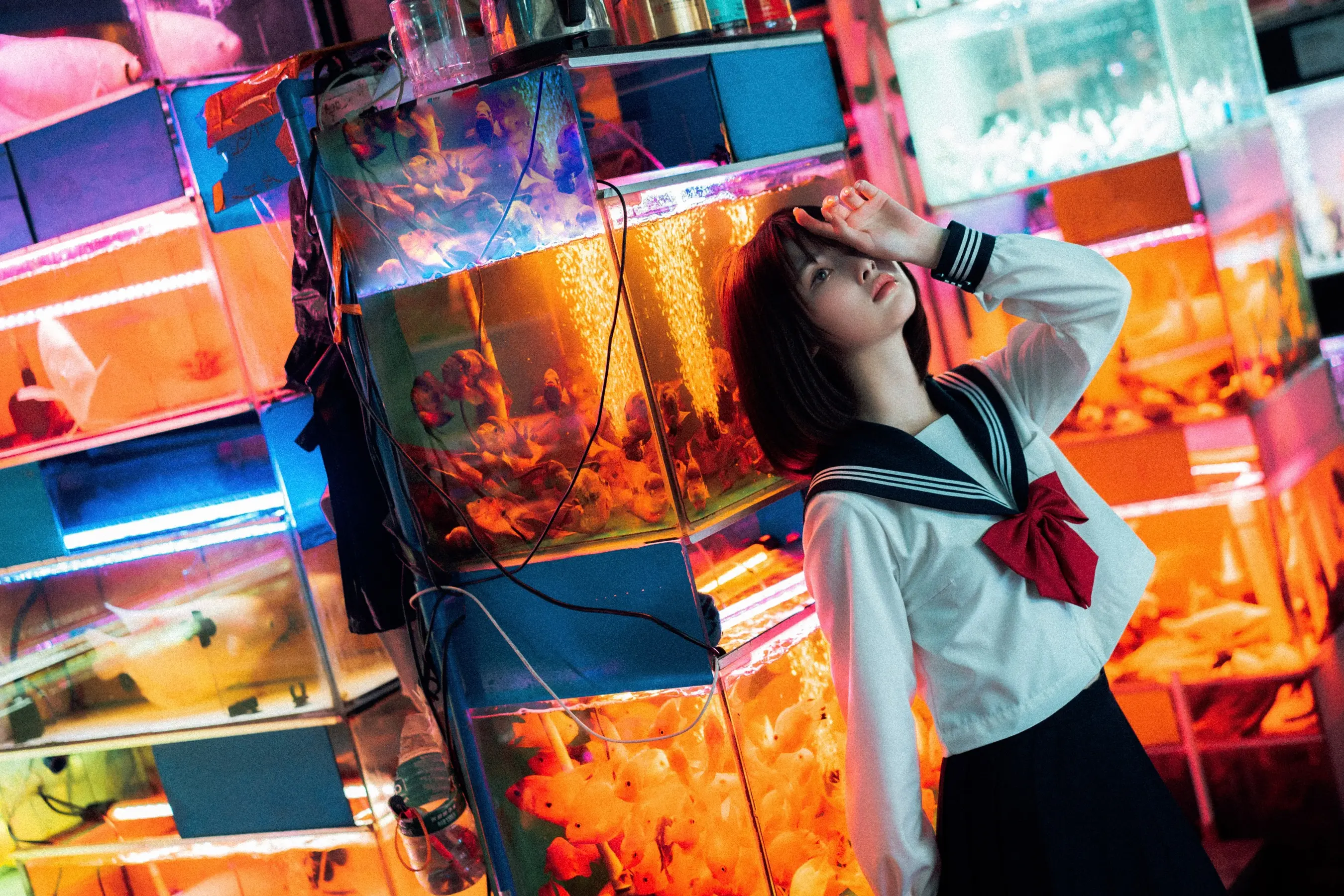 河豚抚子 金鱼JK[25P] [26P]