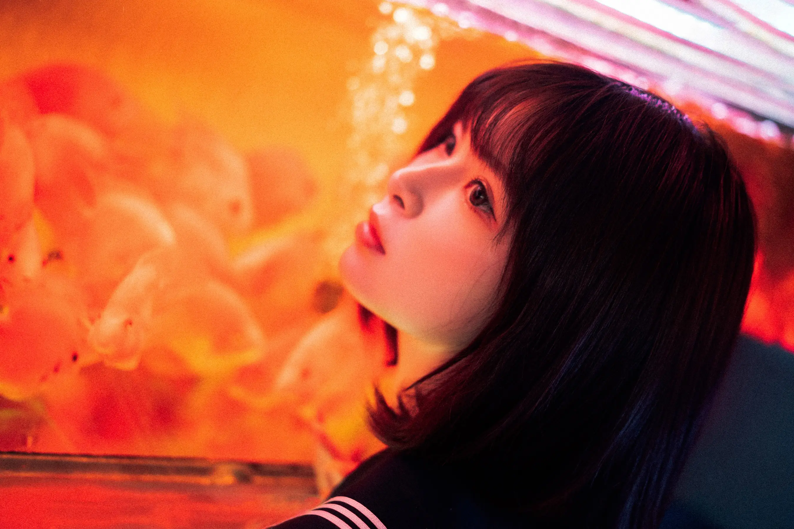 河豚抚子 金鱼JK[25P] [26P]