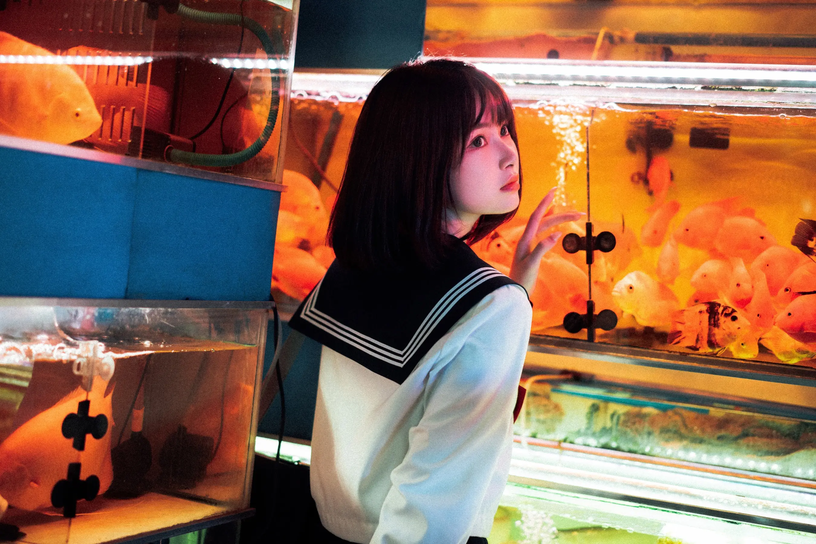 河豚抚子 金鱼JK[25P] [26P]